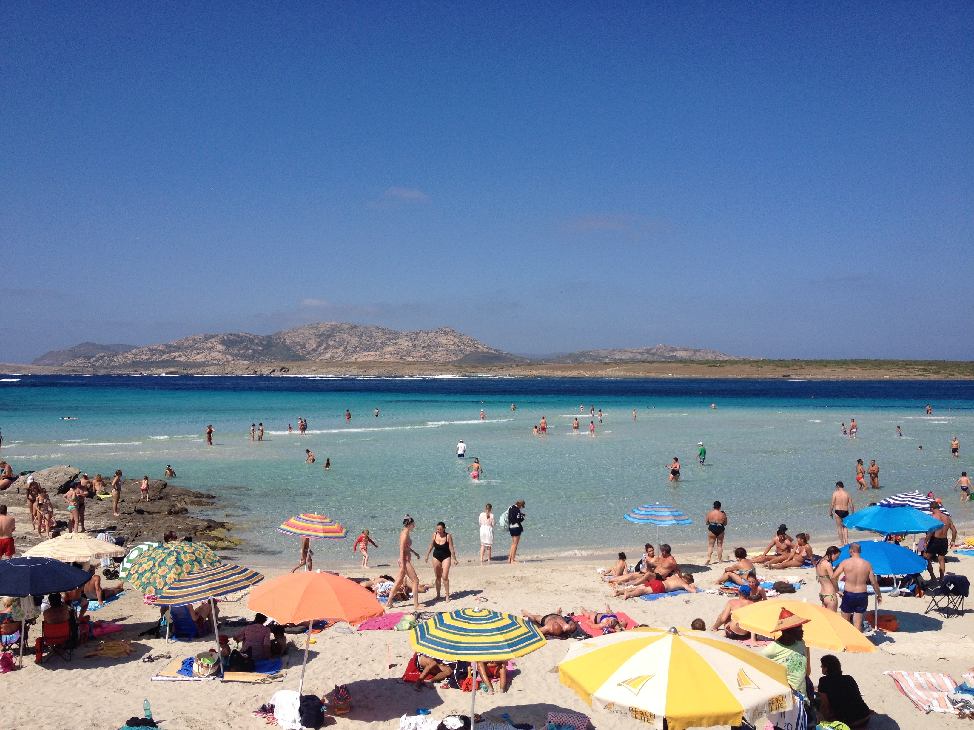 รูปถ่าย อิตาลี(Italy) ซาร์ดิเนีย(Sardinia) แหลมกาโปเดลฟัลโกเน(Capo del Falcone) 2015-06 70