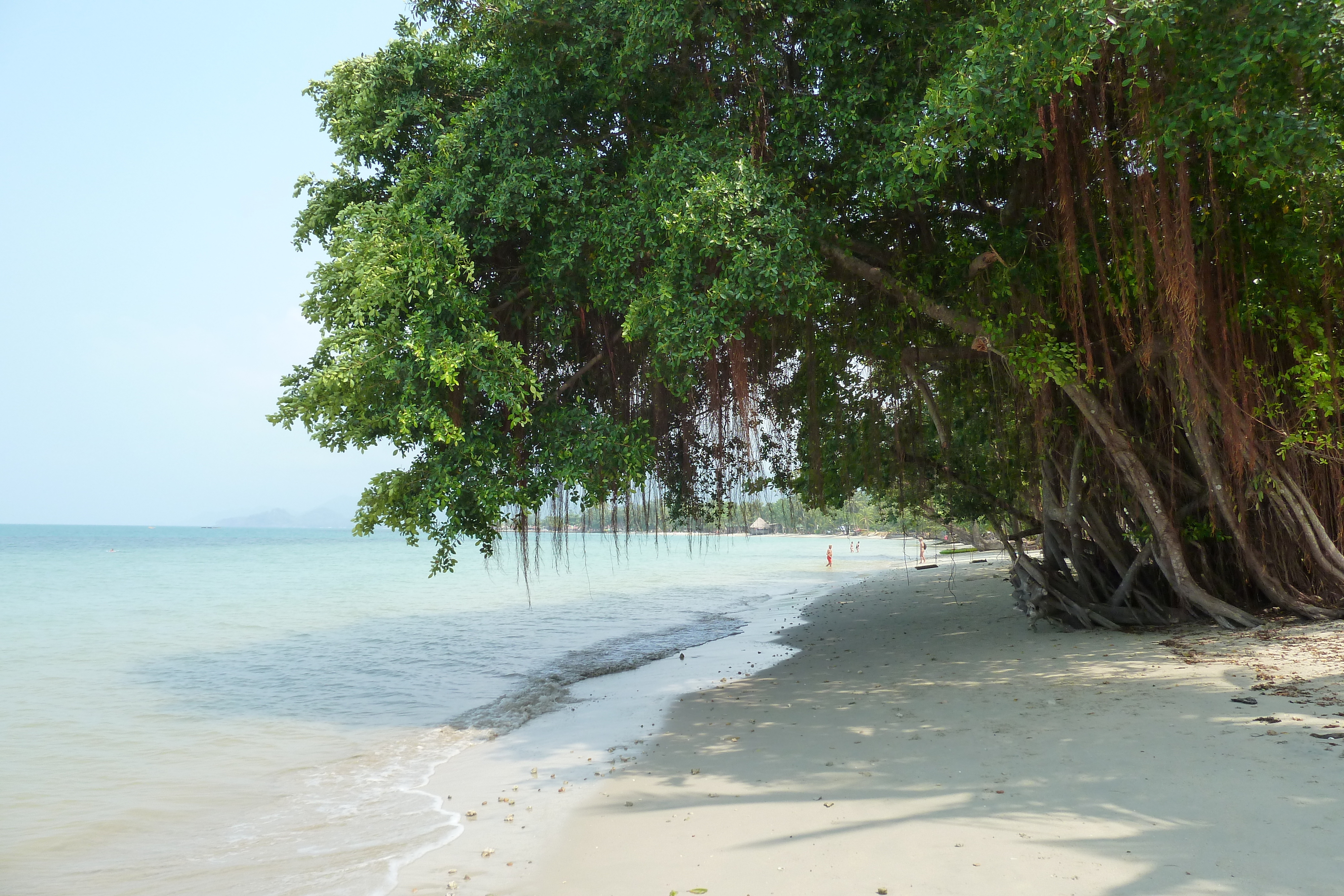 รูปถ่าย ไทย(Thailand) เกาะช้าง(Ko Chang) หาดคลองพร้าว(Klong Prao beach) 2011-02 89