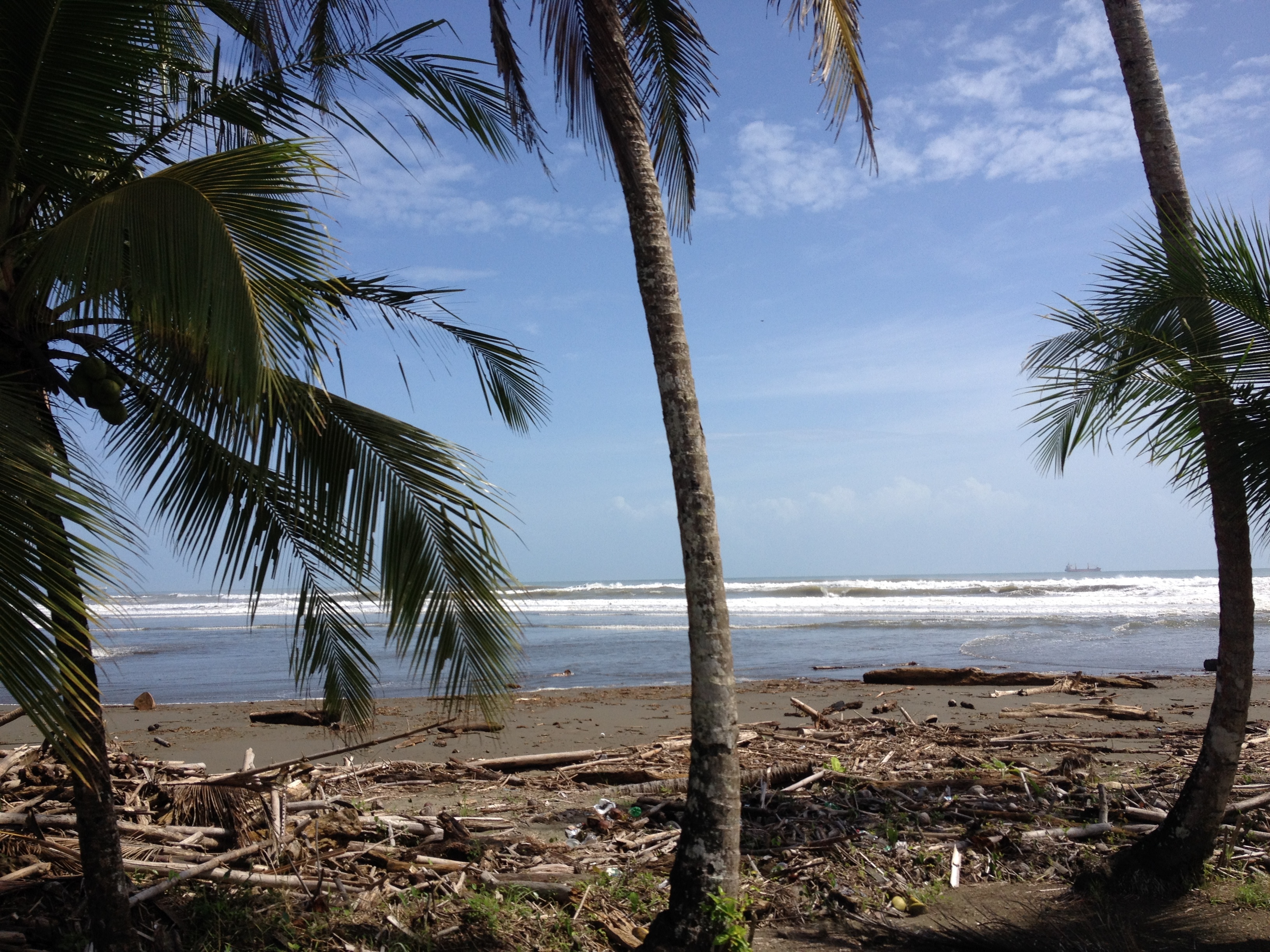 รูปถ่าย คอสตาริกา(Costa Rica) จากลีมอนไปซีกีร์เรส(Limon to Siquirres) 2015-03 8
