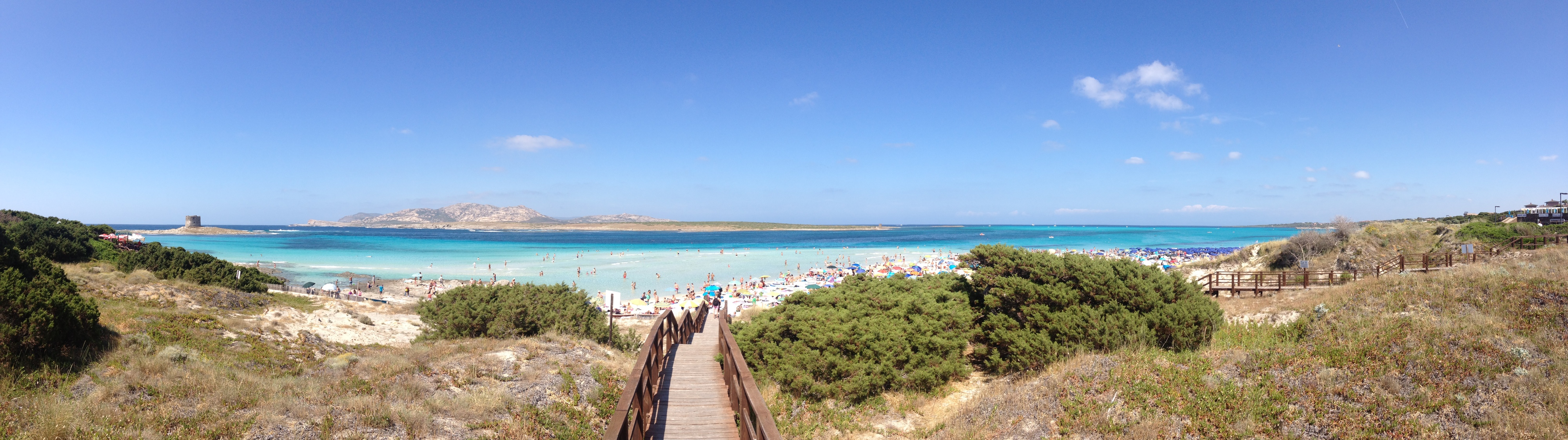 รูปถ่าย อิตาลี(Italy) ซาร์ดิเนีย(Sardinia) แหลมกาโปเดลฟัลโกเน(Capo del Falcone) 2015-06 13