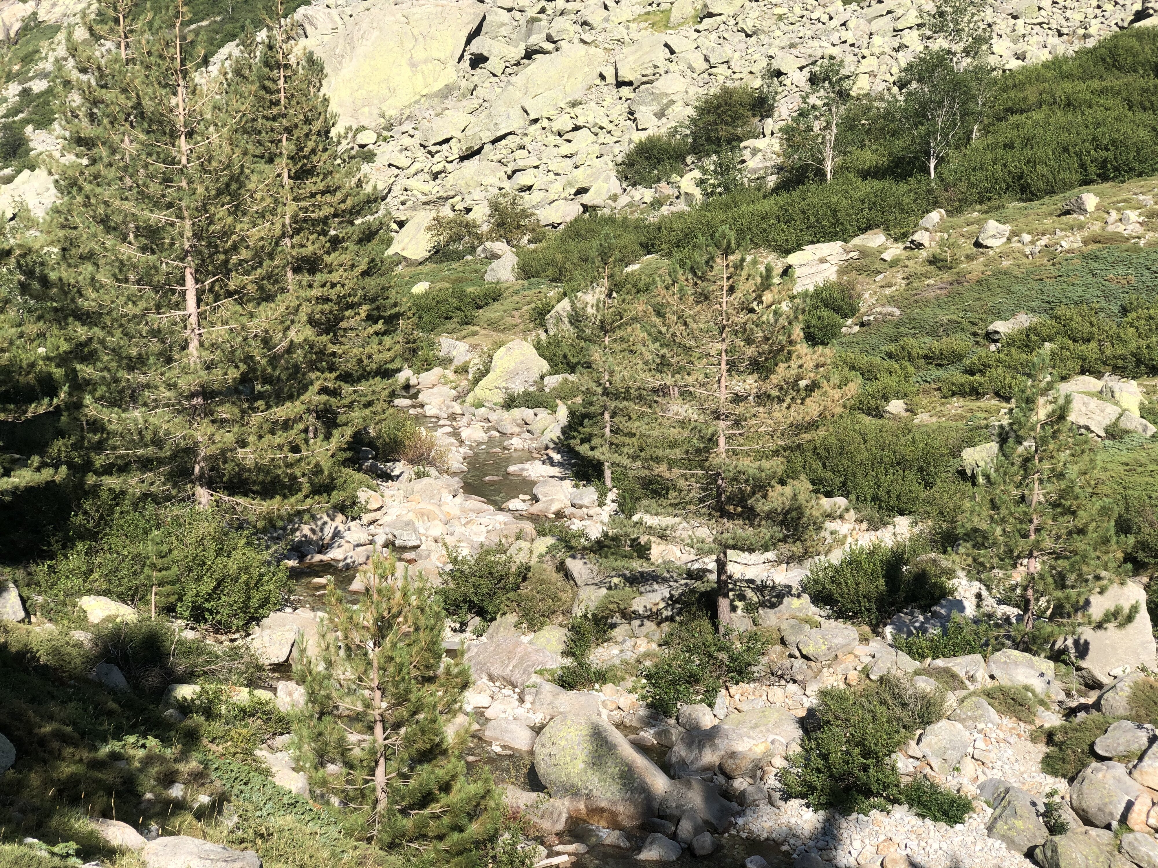 รูปถ่าย ฝรั่งเศส(France) คอร์สิคา(Corsica) หุบเขาลาเรสโตนีกา(La Restonica) 2020-07 20