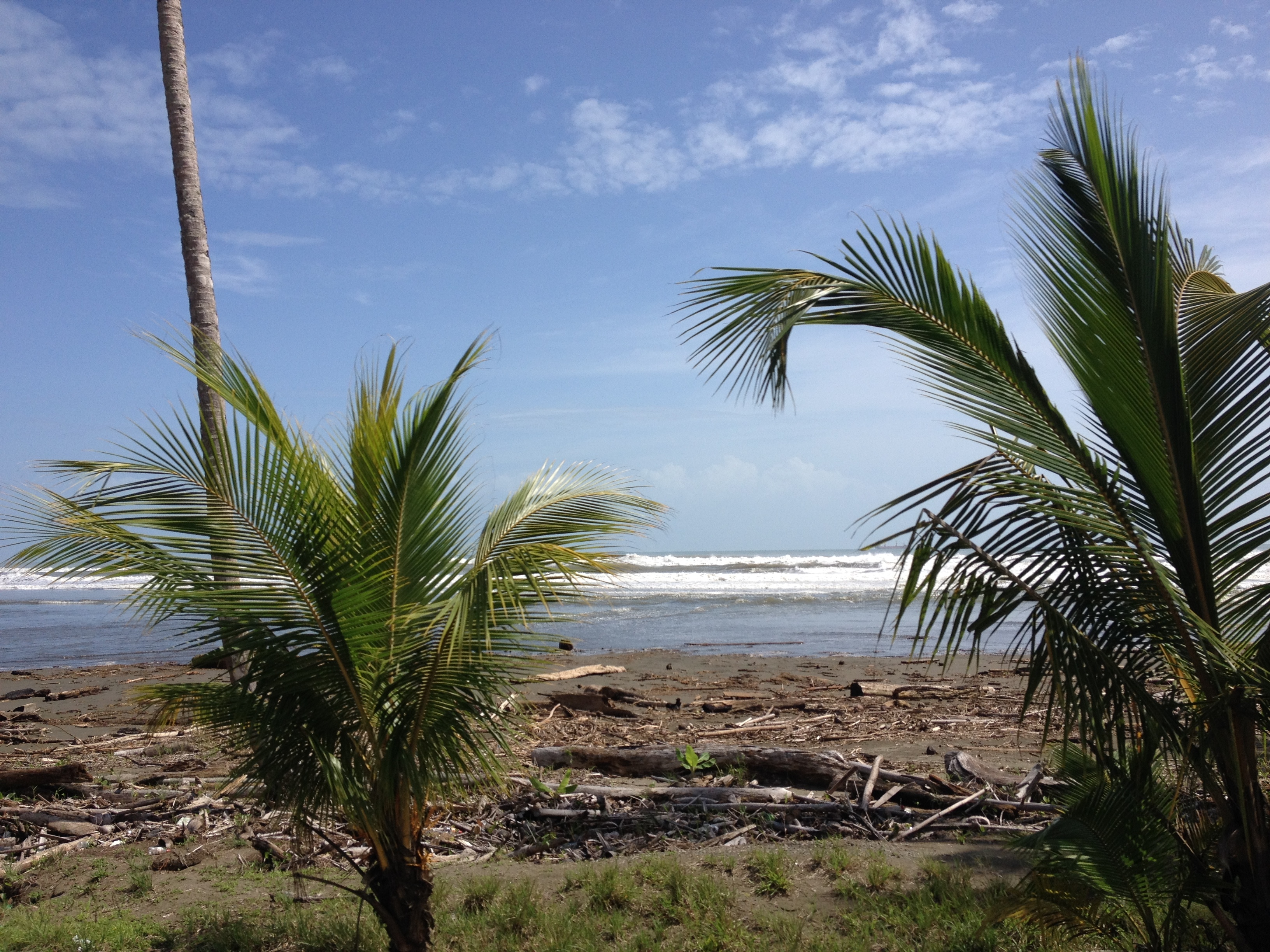 รูปถ่าย คอสตาริกา(Costa Rica) จากลีมอนไปซีกีร์เรส(Limon to Siquirres) 2015-03 14