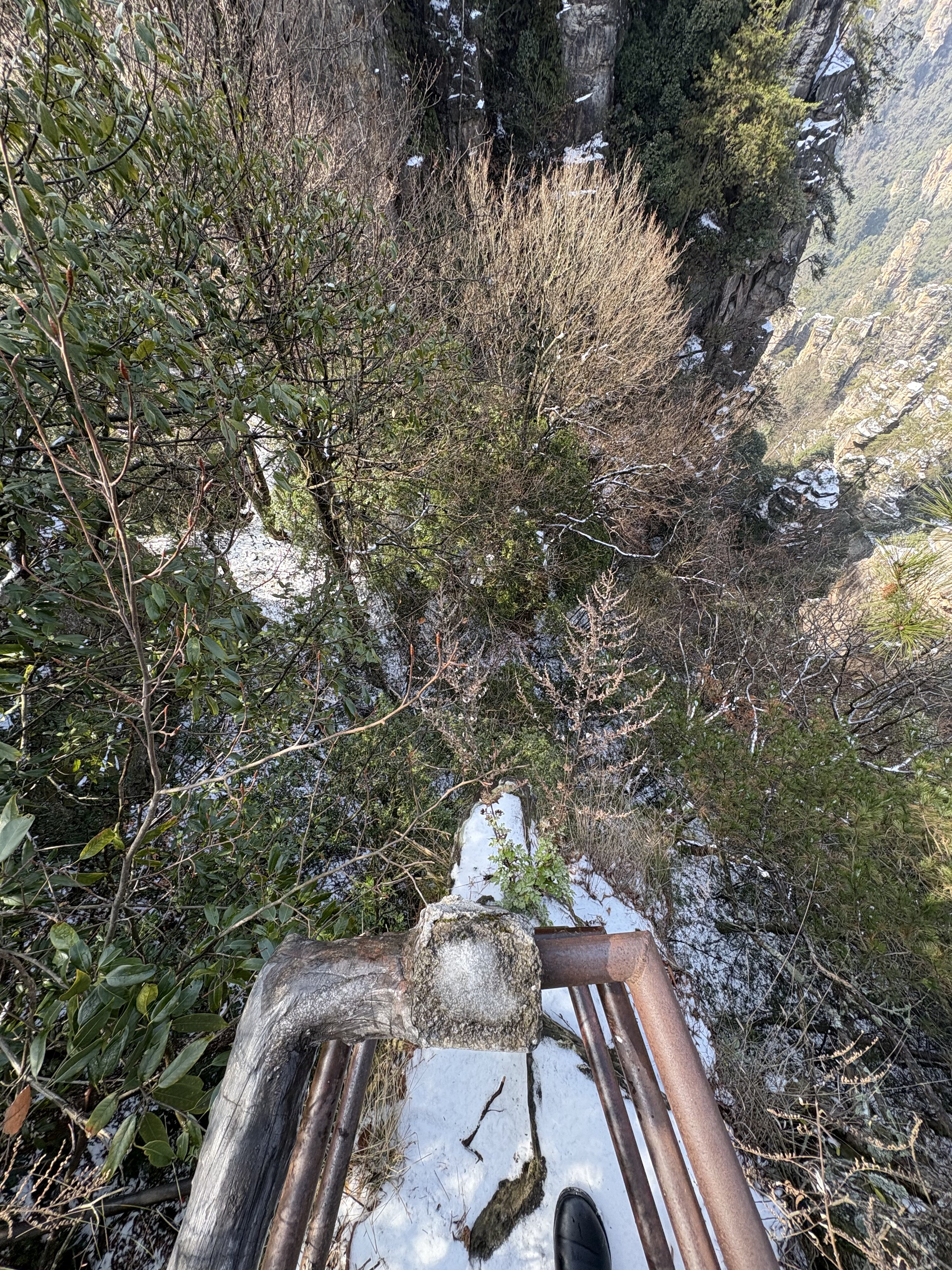รูปถ่าย จีน(China) จางเจียเจี้ย(Zhangjiajie) ภูเขาเทียนจื่อ(Tianzi Mountain) 2026-01 128