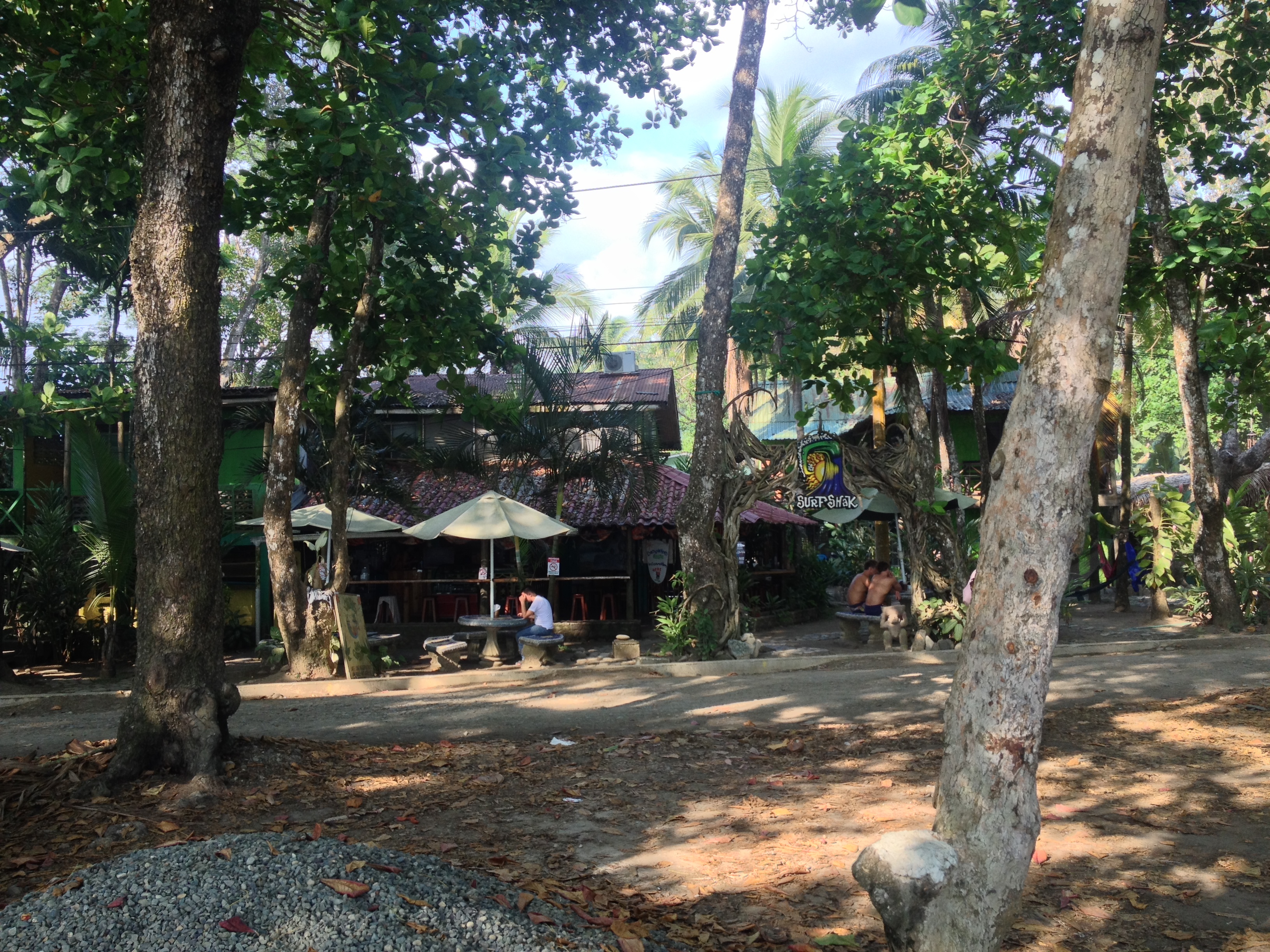 รูปถ่าย คอสตาริกา(Costa Rica) โดมินิกัล(Dominical) 2015-03 102