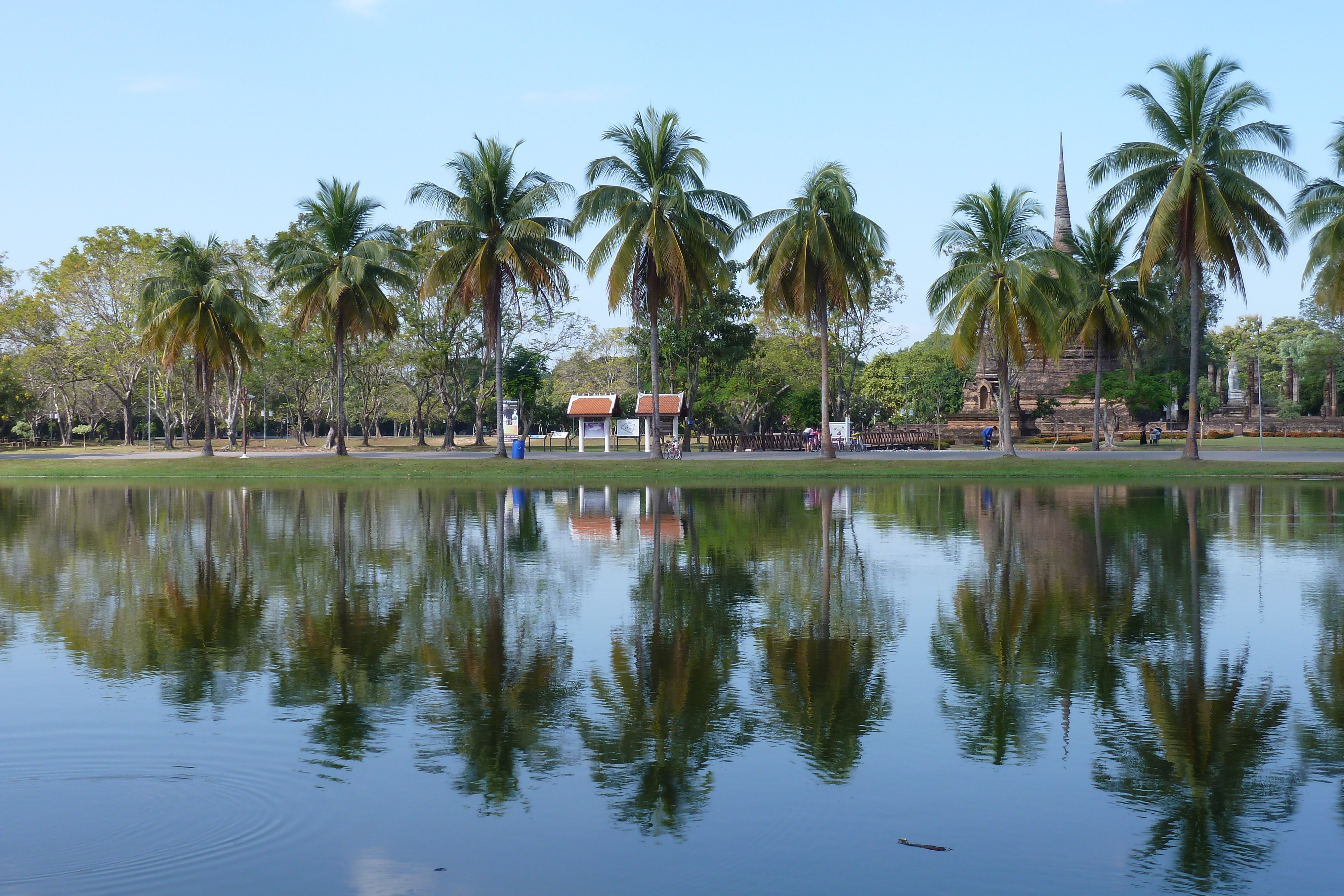 รูปถ่าย ไทย(Thailand) สุโขทัย(Sukhothai) 2010-12 30