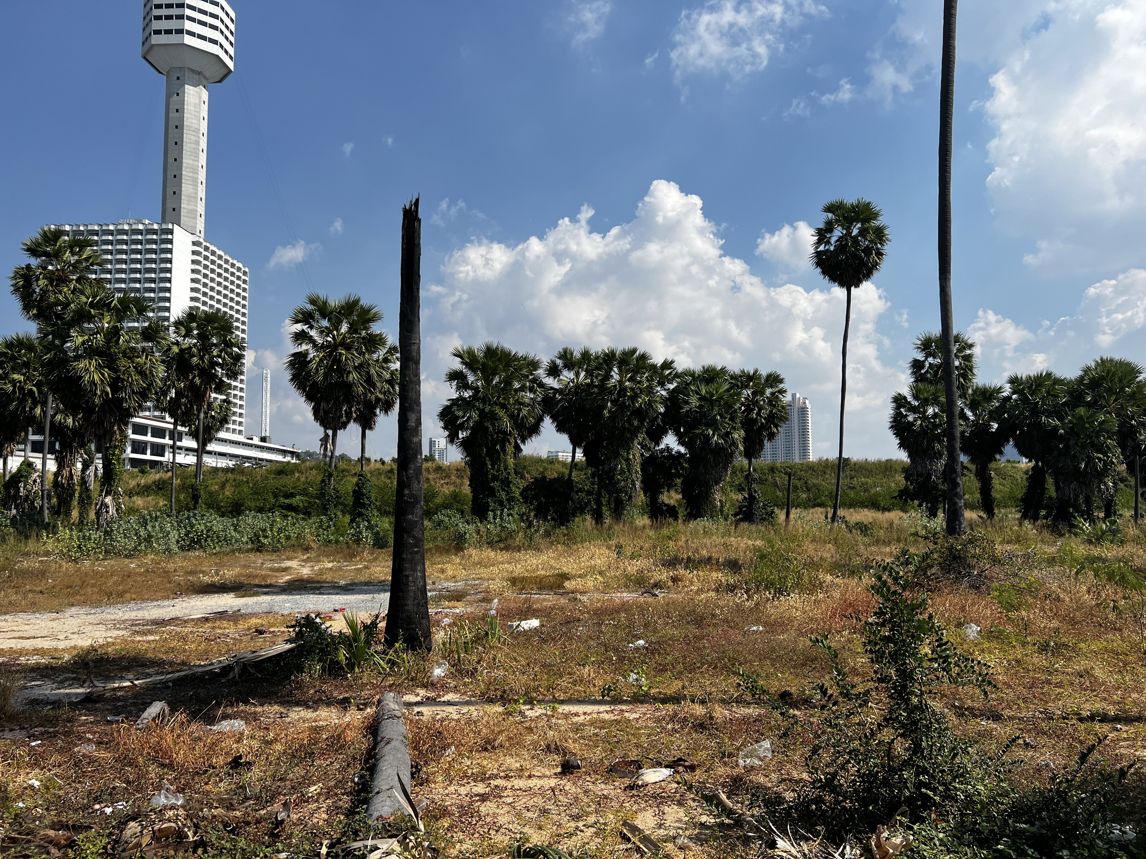รูปถ่าย ไทย(Thailand) พัทยา(Pattaya) 2023-12 52