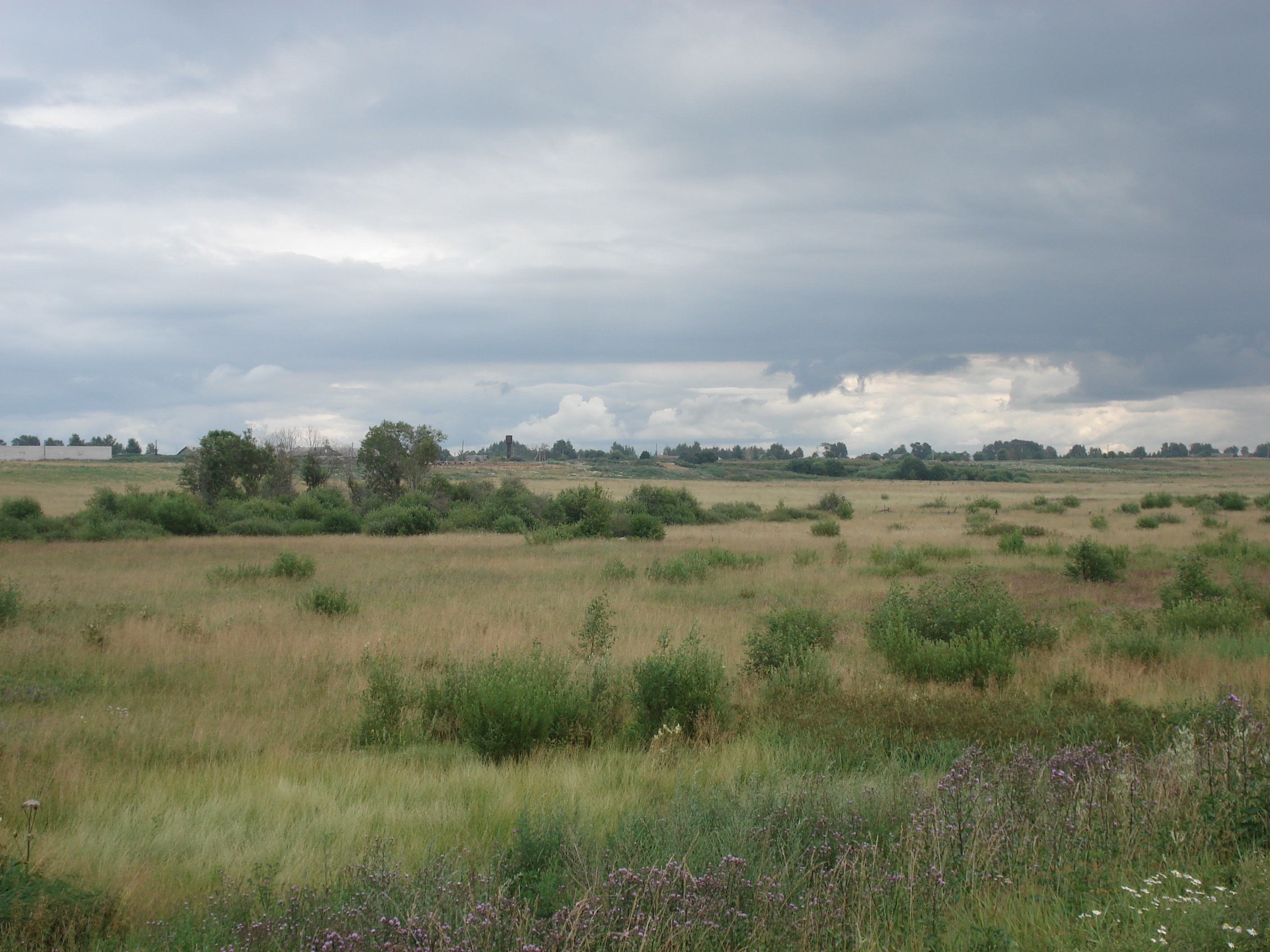 รูปถ่าย รัสเซีย(Russia) จากยาโรสลาฟล์ไปเซนต์ปีเตอร์สเบิร์ก(From Yaroslavl to St Petersburg) 2006-07 53