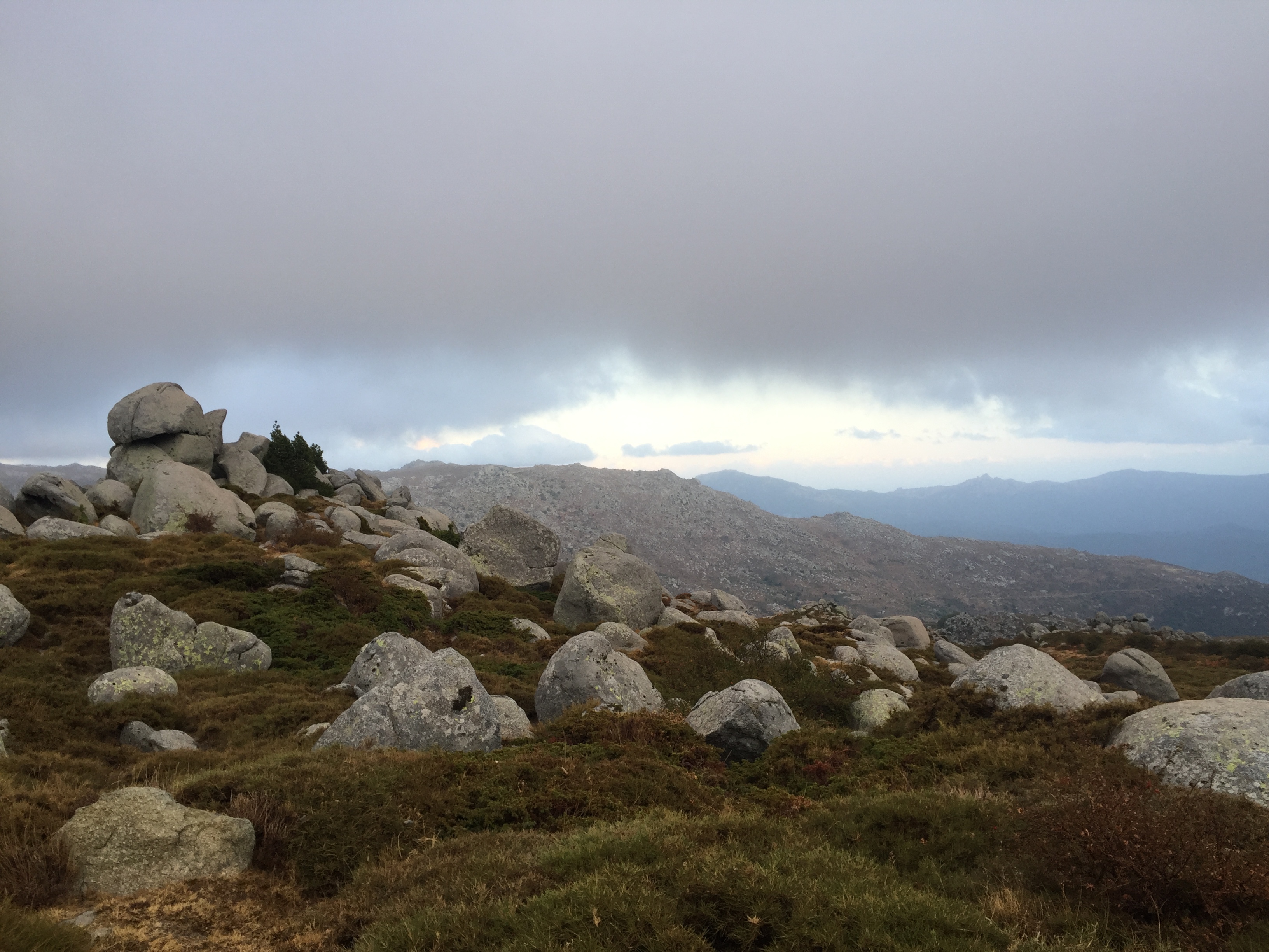 รูปถ่าย ฝรั่งเศส(France) คอร์สิคา(Corsica) อัลตาร็อกกา(Alta Rocca) 2017-09 32