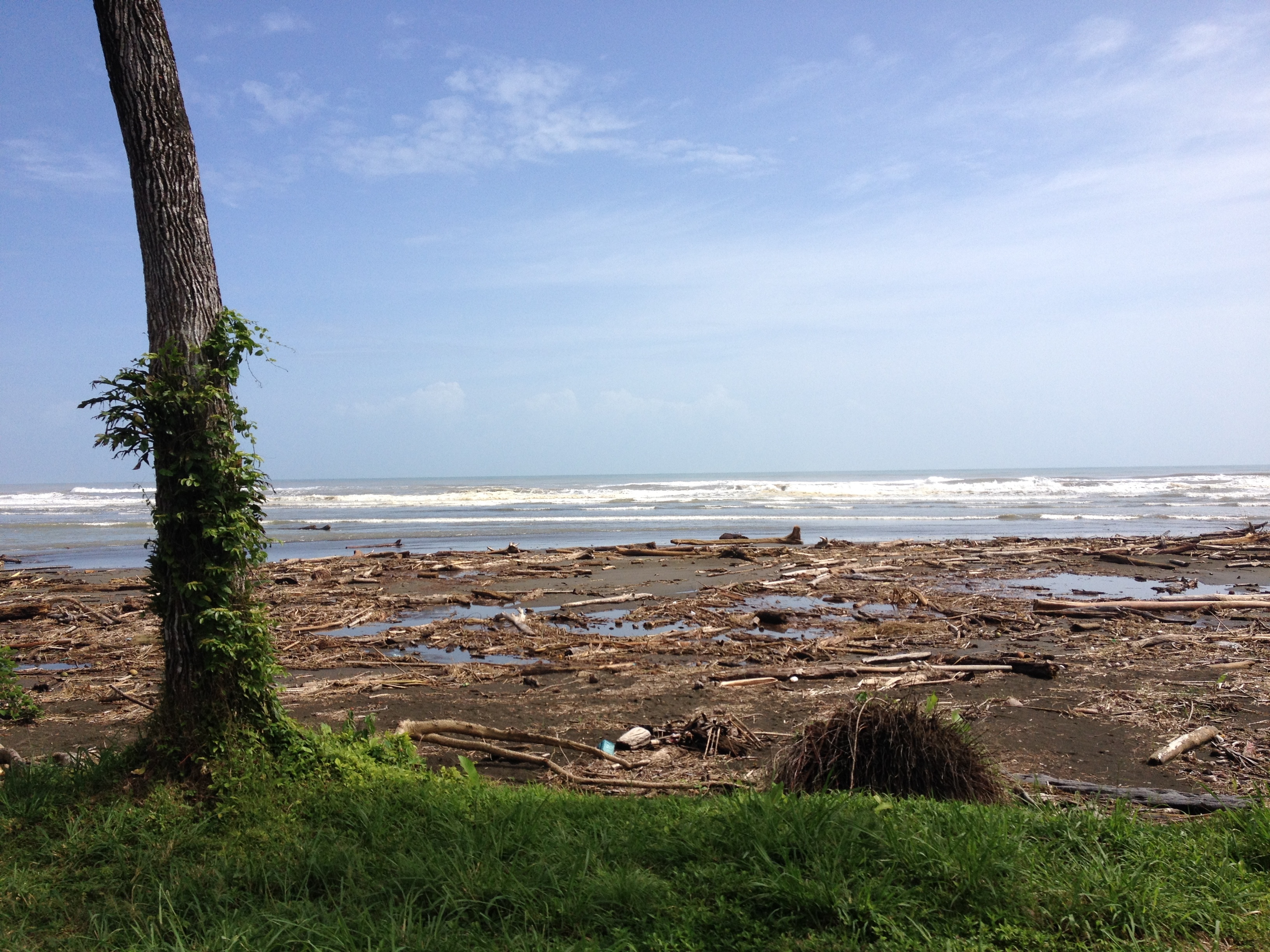 รูปถ่าย คอสตาริกา(Costa Rica) จากลีมอนไปซีกีร์เรส(Limon to Siquirres) 2015-03 15