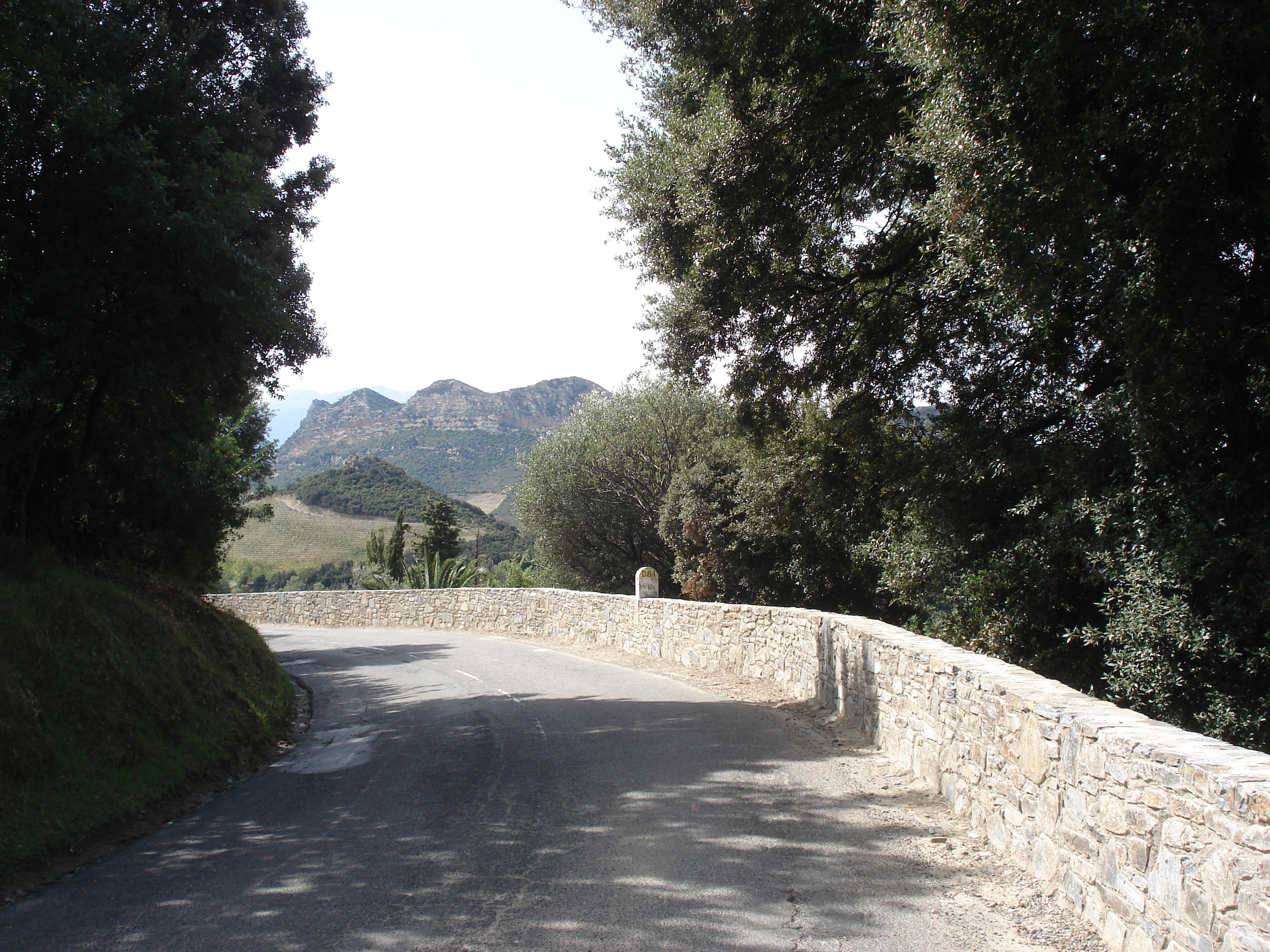 รูปถ่าย ฝรั่งเศส(France) คอร์สิคา(Corsica) ถนนจากบัสตียาไปแซ็งฟลอร็อง(Bastia to Saint Florent Road) 2006-09 37