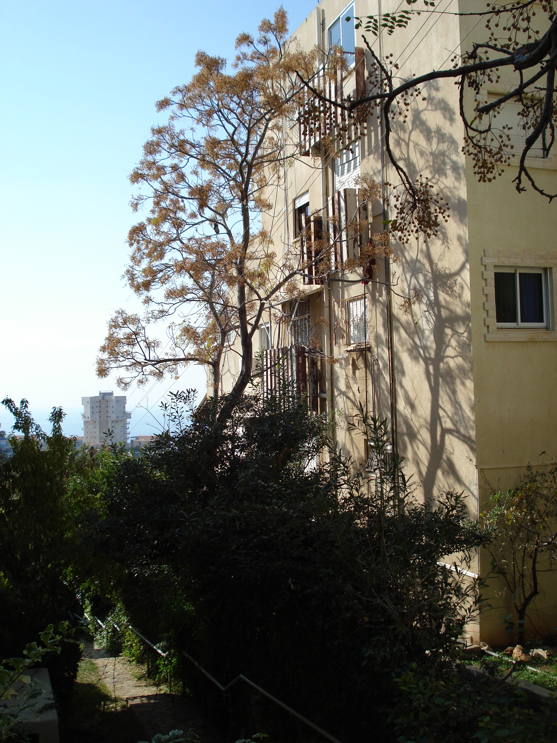 รูปถ่าย อิสราเอล(Israel) ไฮฟา(Haifa) คาร์เมล(Carmel) 2006-12 104