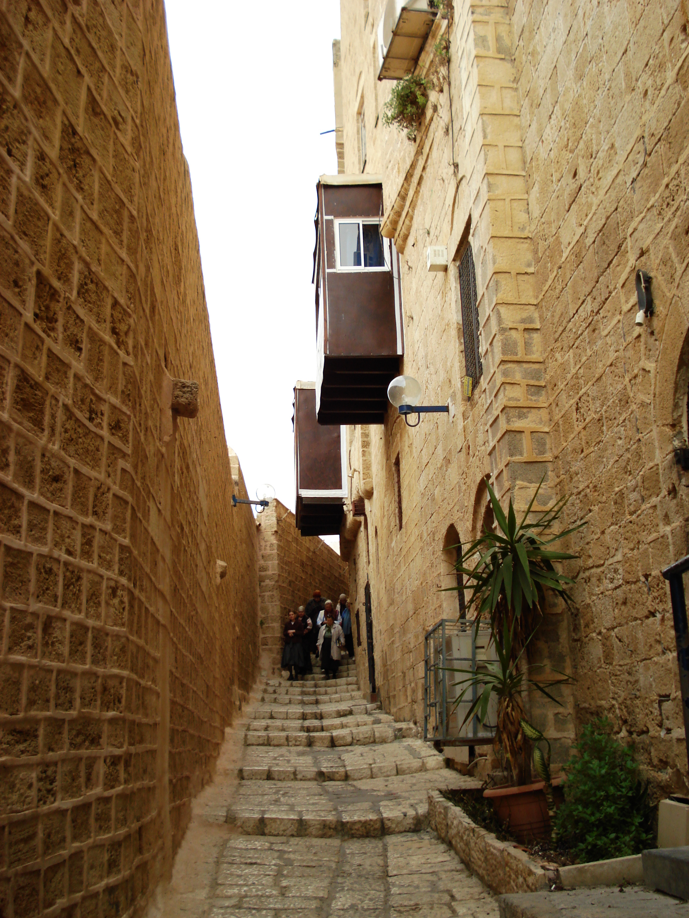 รูปถ่าย อิสราเอล(Israel) จาฟา(Jaffa) 2006-12 233