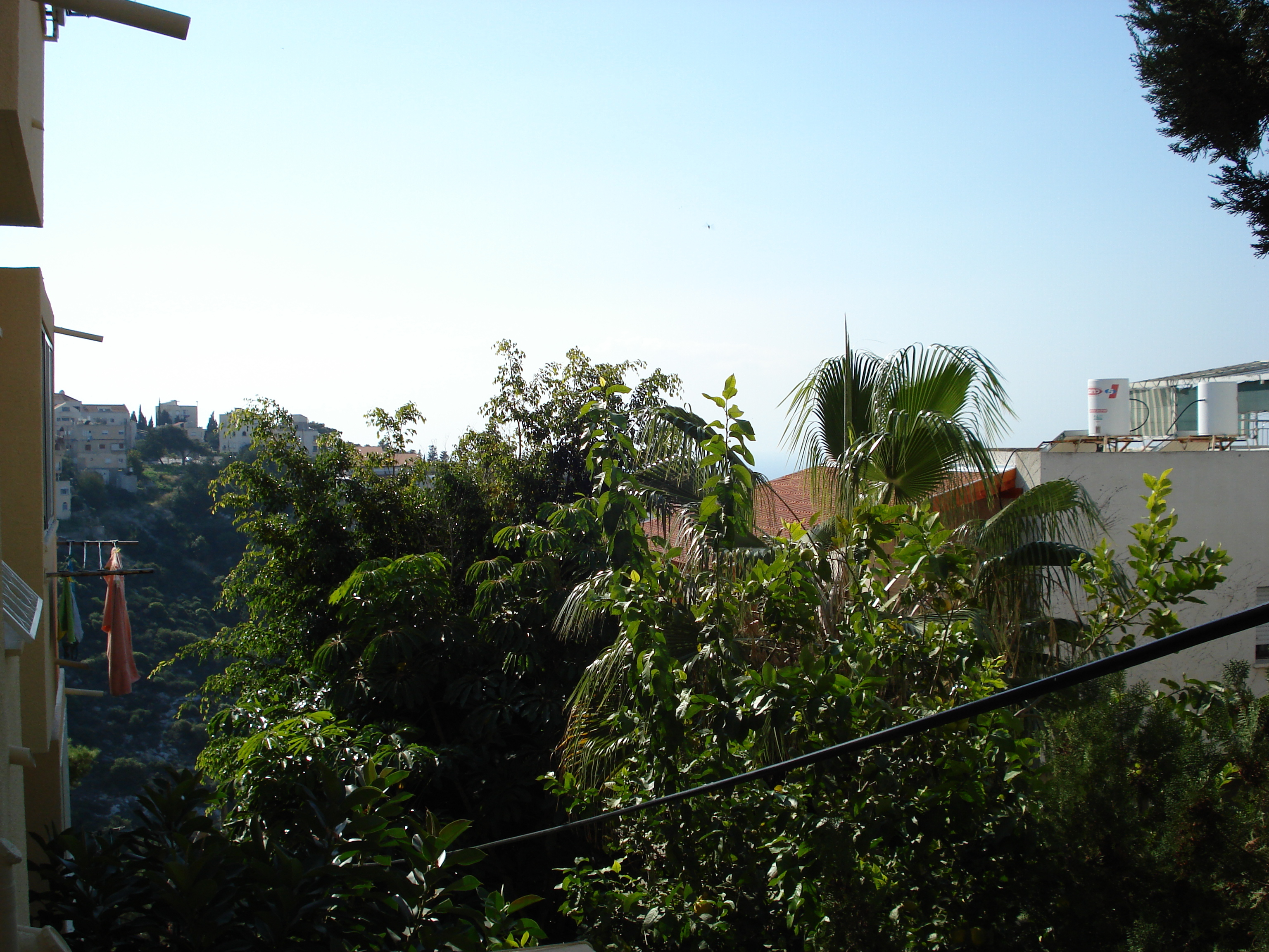 รูปถ่าย อิสราเอล(Israel) ไฮฟา(Haifa) คาร์เมล(Carmel) 2006-12 92