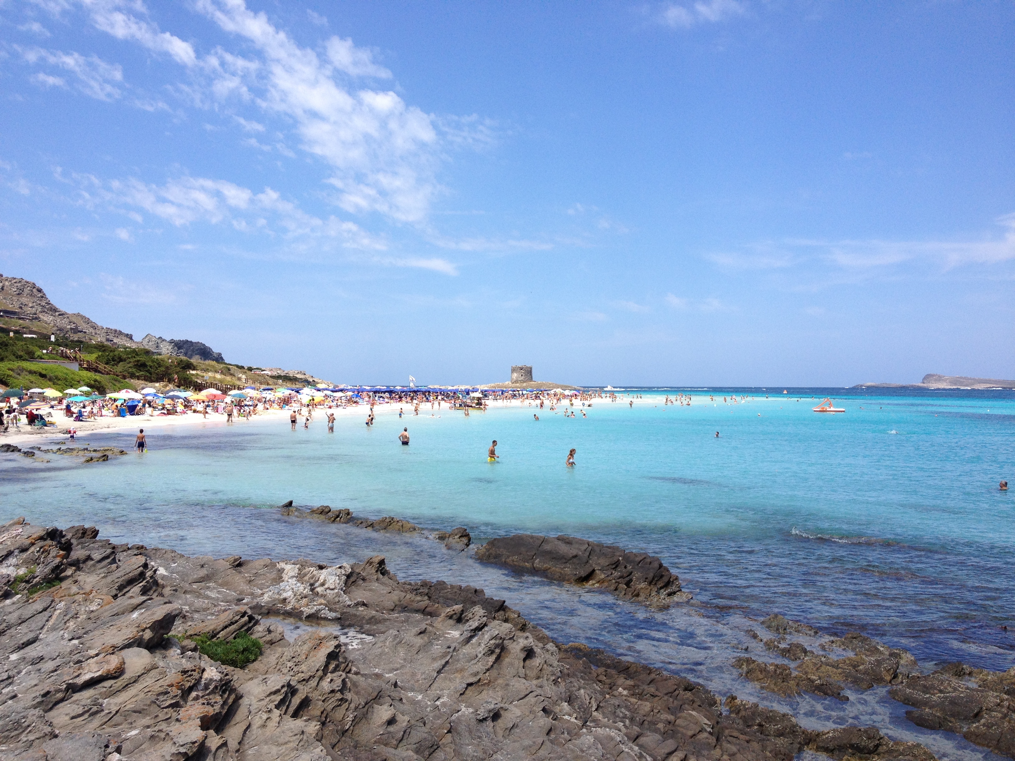 รูปถ่าย อิตาลี(Italy) ซาร์ดิเนีย(Sardinia) แหลมกาโปเดลฟัลโกเน(Capo del Falcone) 2015-06 11
