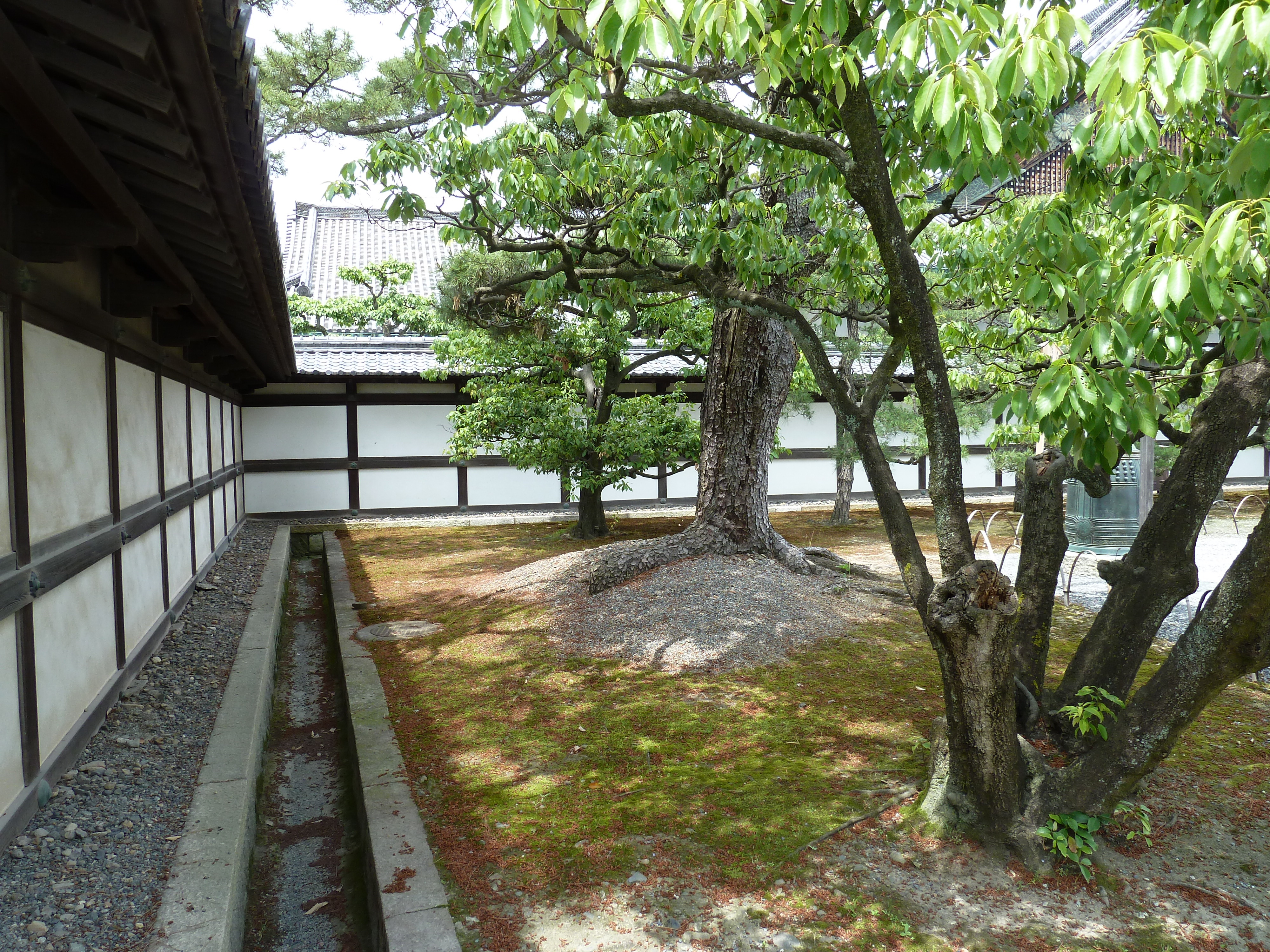 รูปถ่าย ญี่ปุ่น(Japan) เกียวโต(Kyoto) ปราสาทนิโจ(Nijo Castle) 2010-06 77