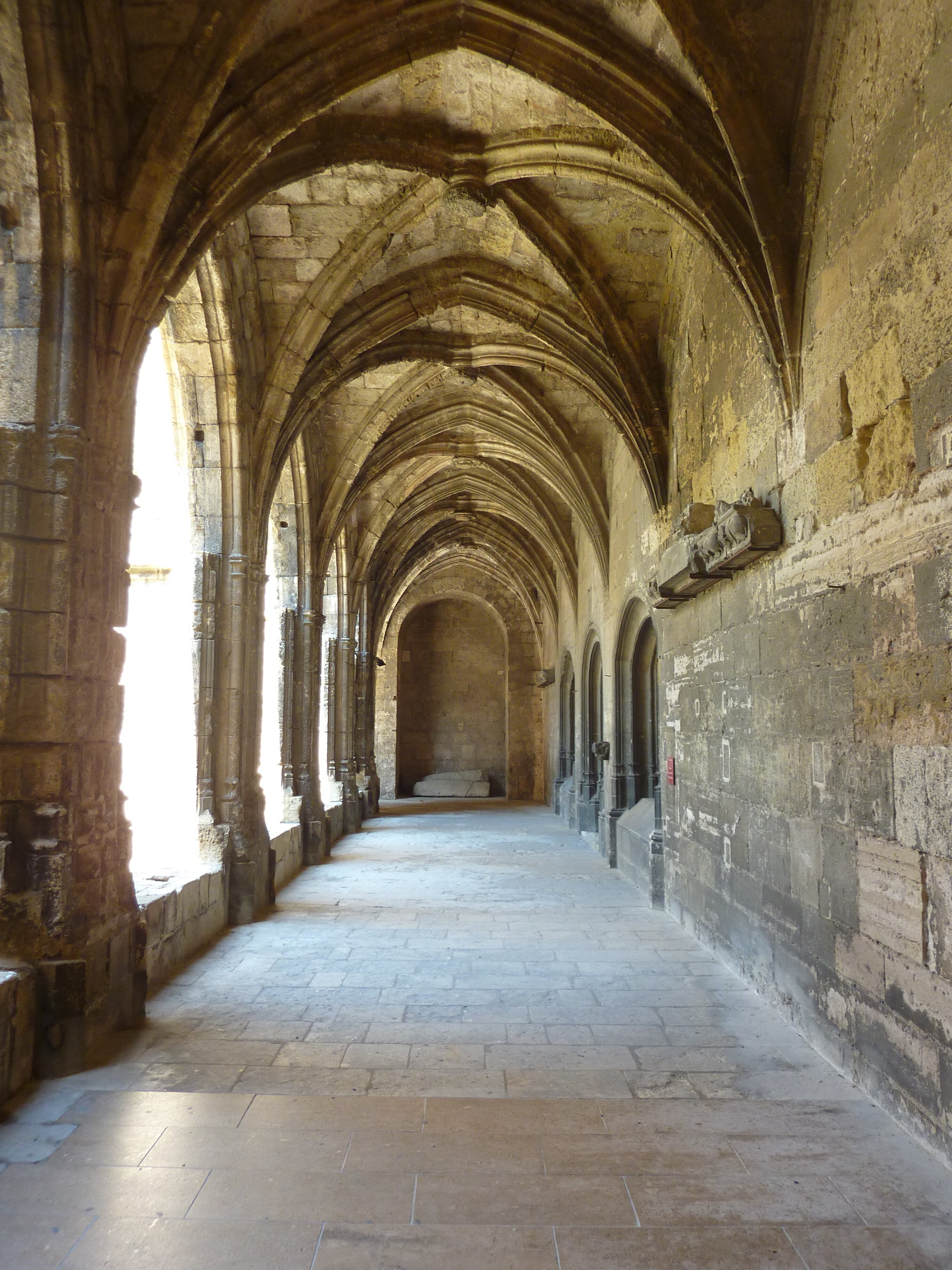 รูปถ่าย ฝรั่งเศส(France) นาร์บอน(Narbonne) 2009-07 59