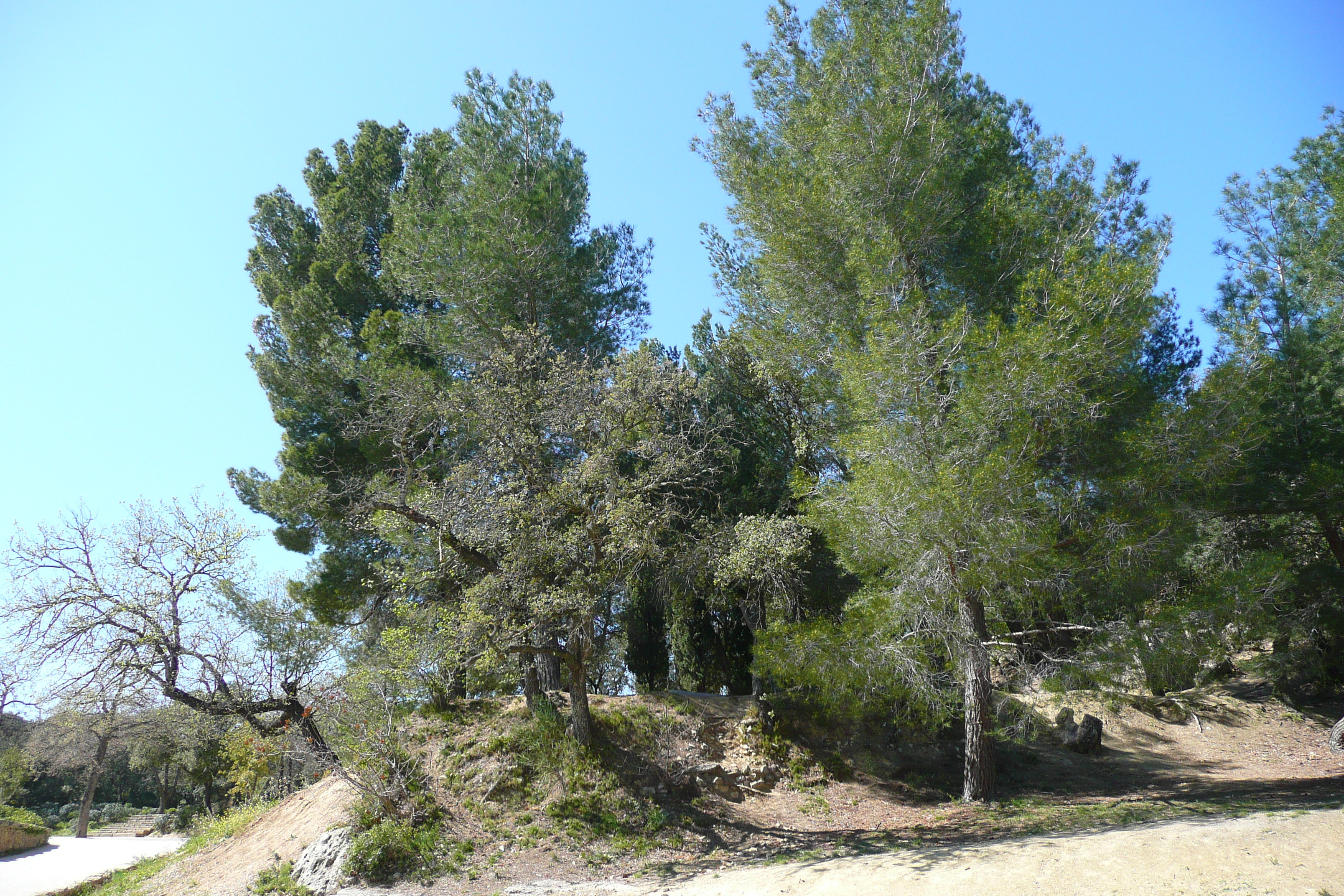 รูปถ่าย ฝรั่งเศส(France) สะพานปงดูการ์(Pont du Gard) 2008-04 84