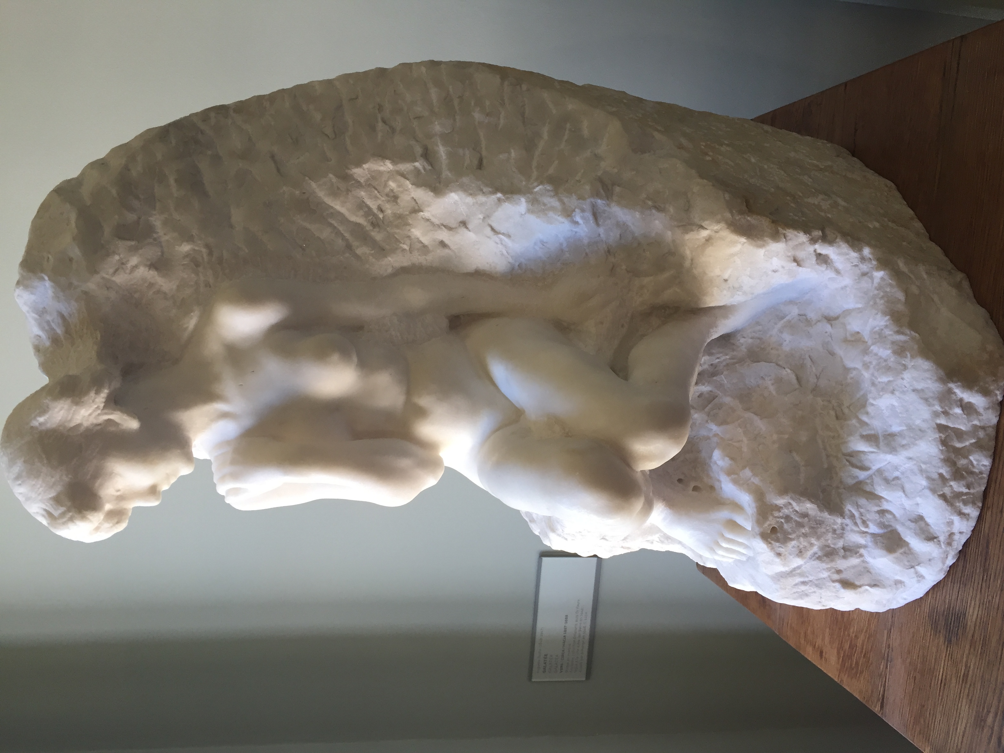 รูปถ่าย ฝรั่งเศส(France) ปารีส(Paris) พิพิธภัณฑ์โรแดง(Rodin Museum) 2017-06 95