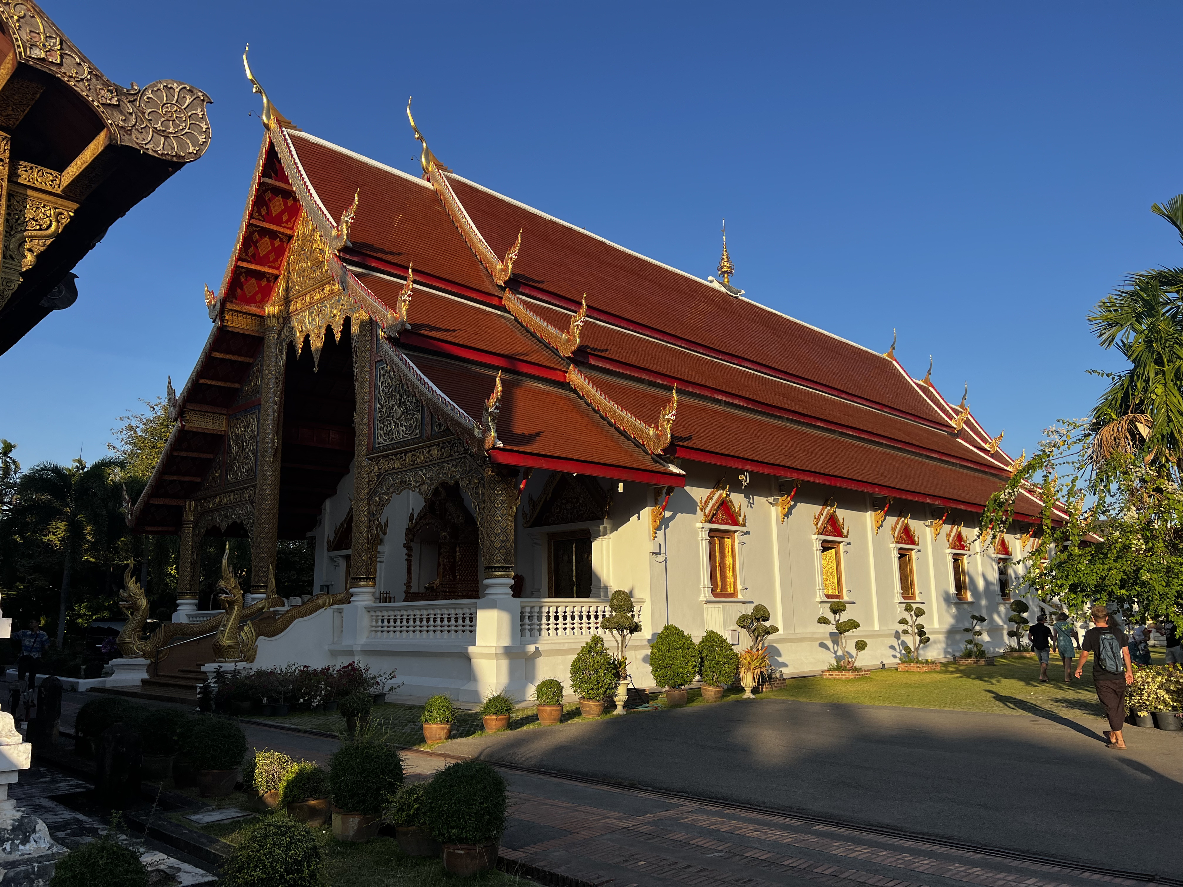 รูปถ่าย ไทย(Thailand) เชียงใหม่(Chiang Mai) 2024-01 151