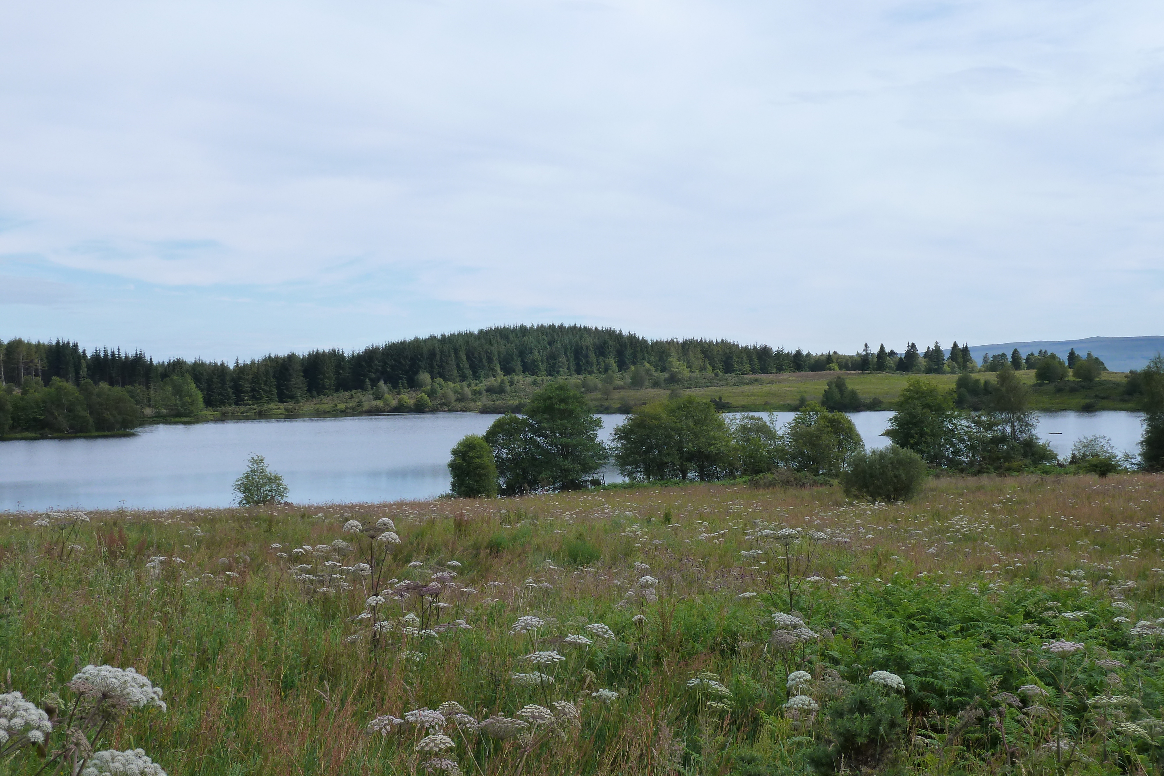 รูปถ่าย อังกฤษ(United Kingdom) ทรอสซักส์(The Trossachs) 2011-07 127