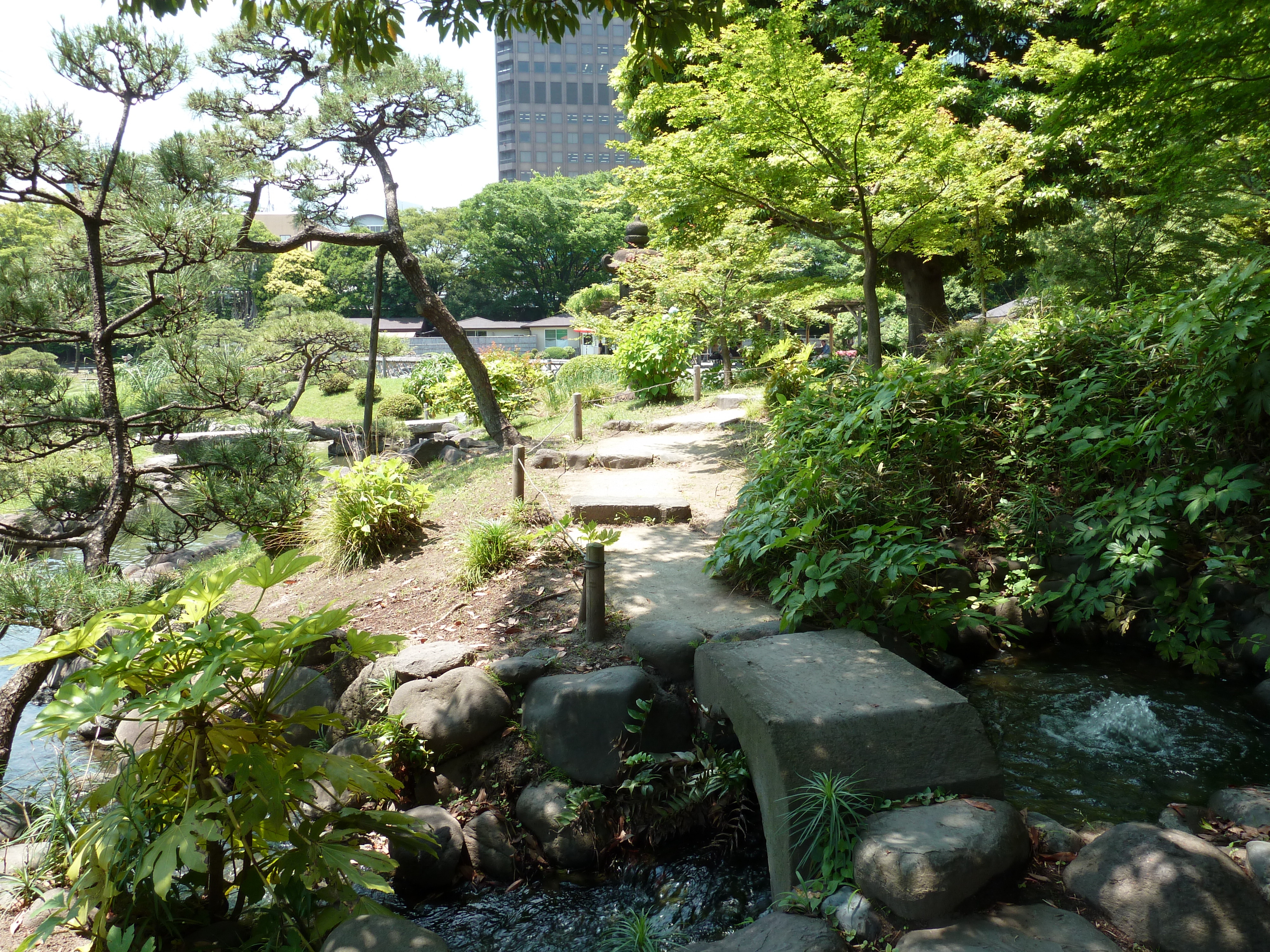 รูปถ่าย ญี่ปุ่น(Japan) โตเกียว(Tokyo) สวนคิวชิบะริคิว(Kyu Shiba rikyu Gardens) 2010-06 52