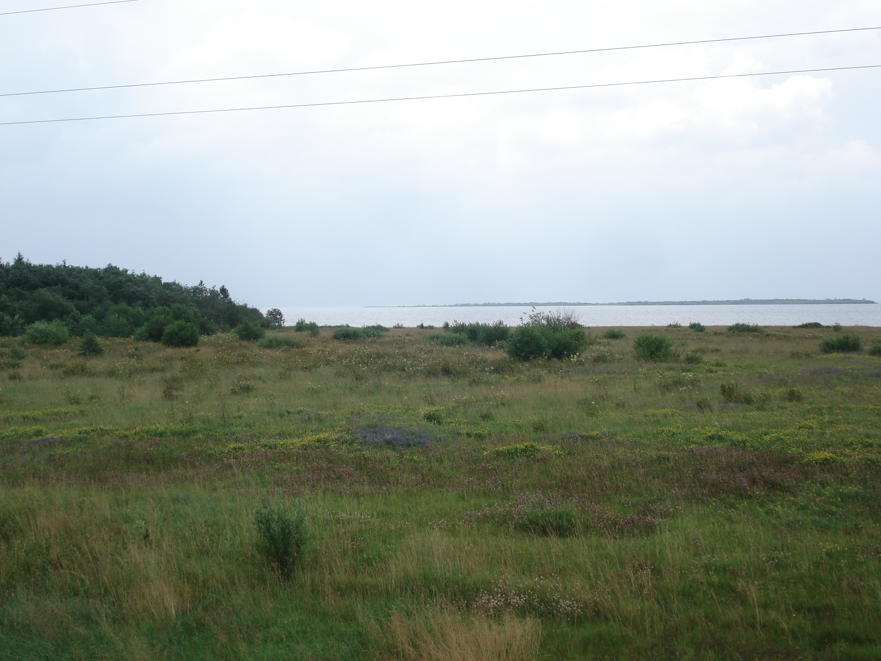 รูปถ่าย รัสเซีย(Russia) จากยาโรสลาฟล์ไปเซนต์ปีเตอร์สเบิร์ก(From Yaroslavl to St Petersburg) 2006-07 39