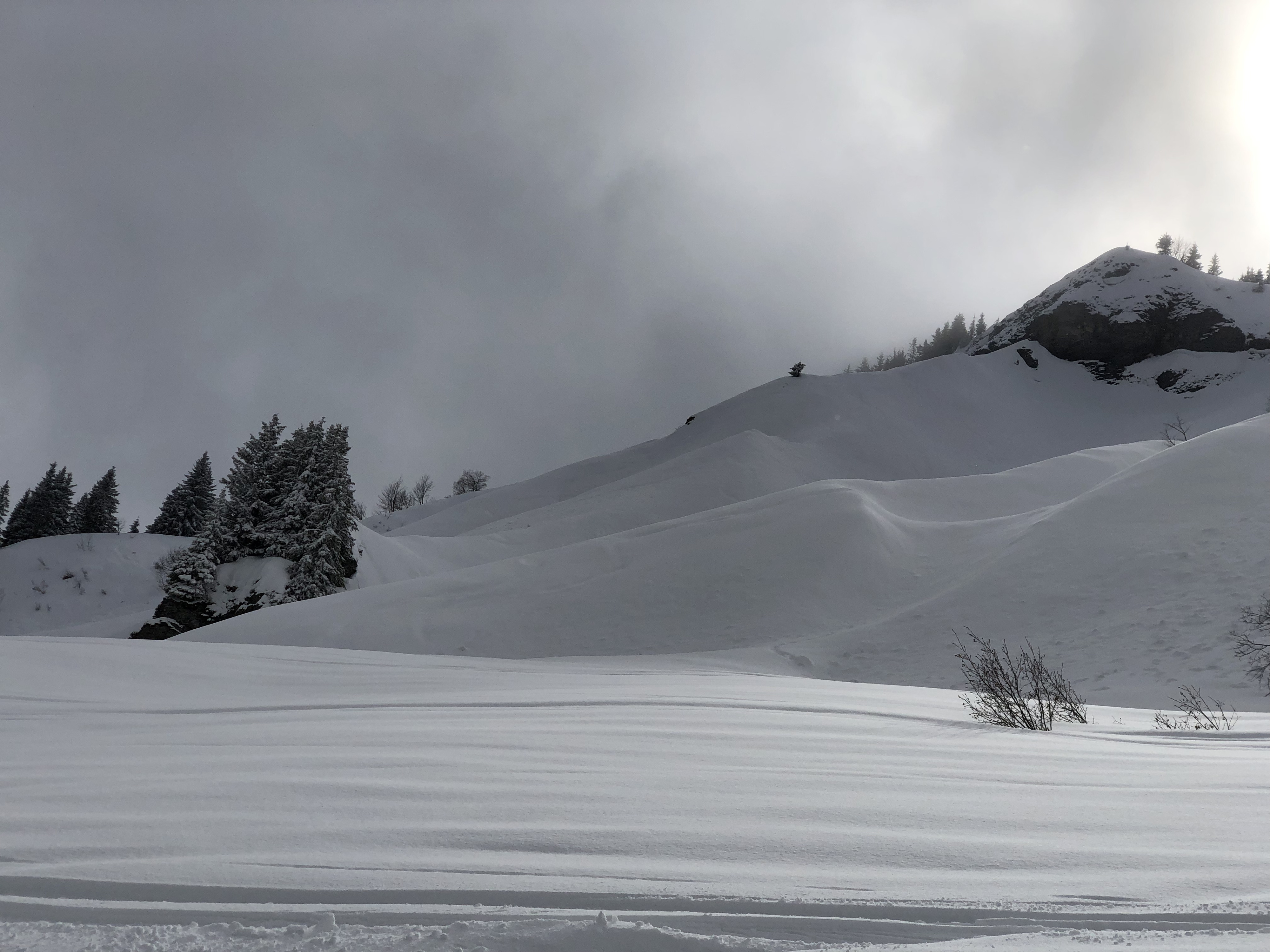 รูปถ่าย ฝรั่งเศส(France) เมแฌฟว์(Megeve) 2019-03 73