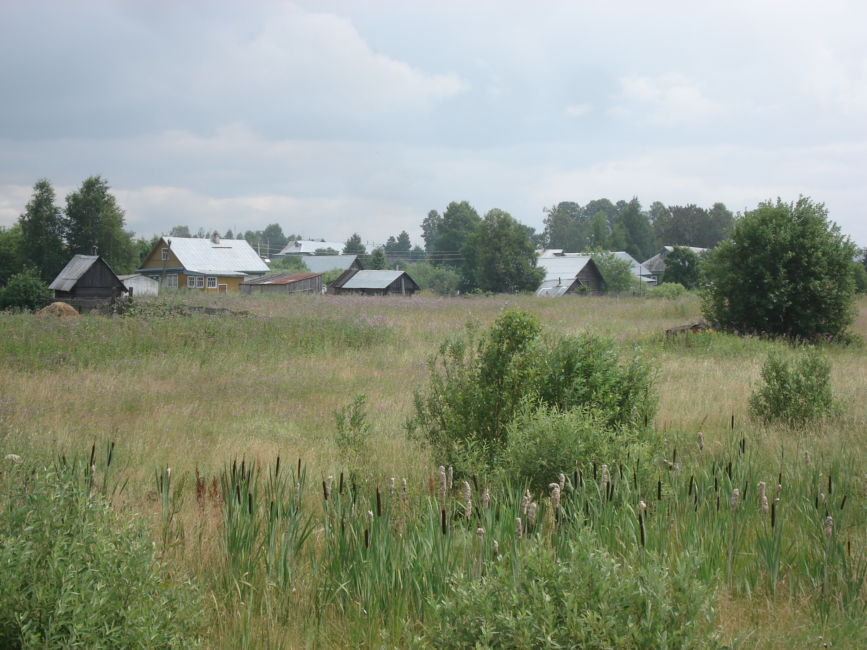 รูปถ่าย รัสเซีย(Russia) จากยาโรสลาฟล์ไปเซนต์ปีเตอร์สเบิร์ก(From Yaroslavl to St Petersburg) 2006-07 51