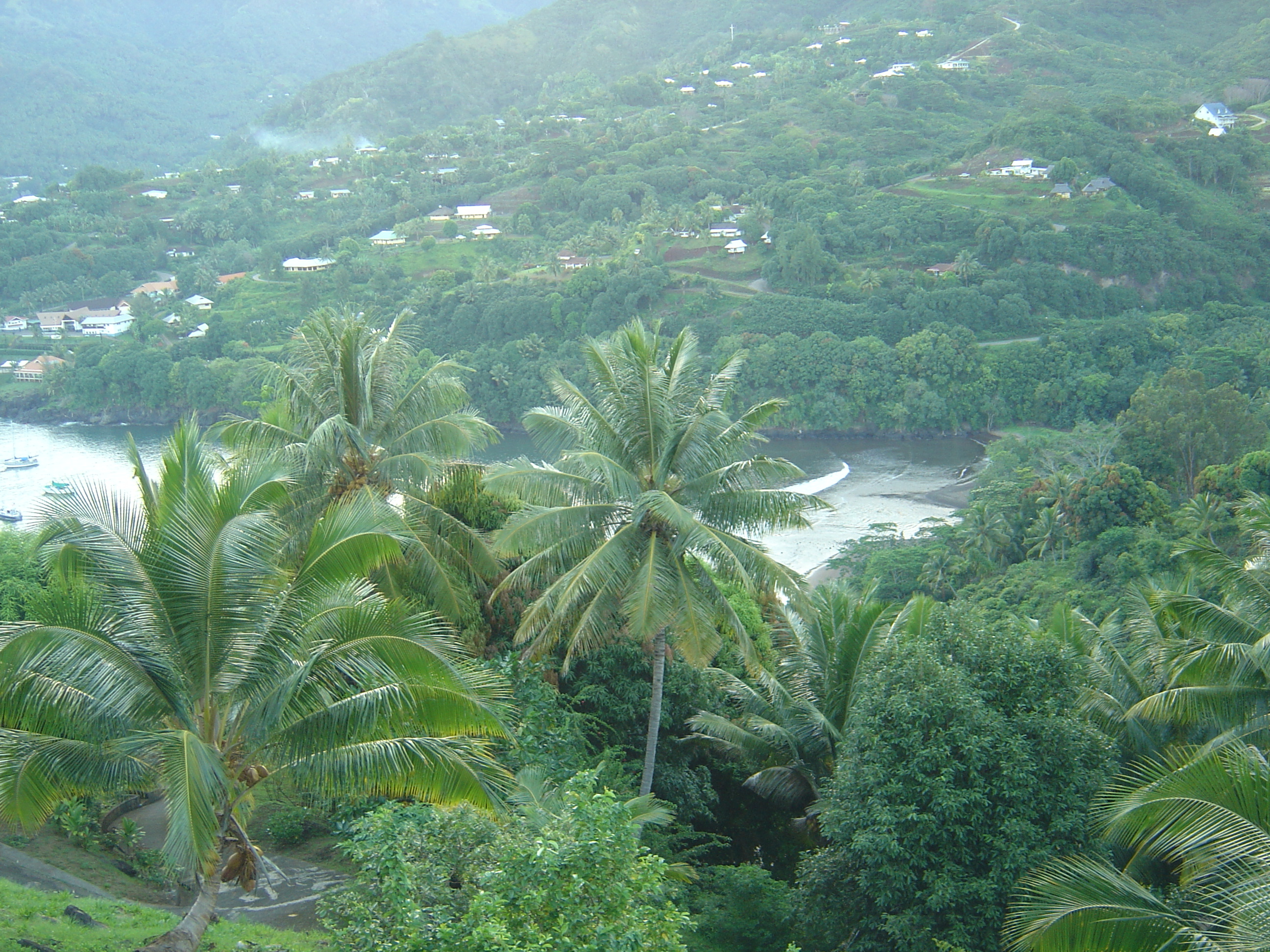 รูปถ่าย เฟรนช์โพลี่นีเซีย(Polynesia) หมู่เกาะมาร์เคซัส(Marquises) 2006-04 239