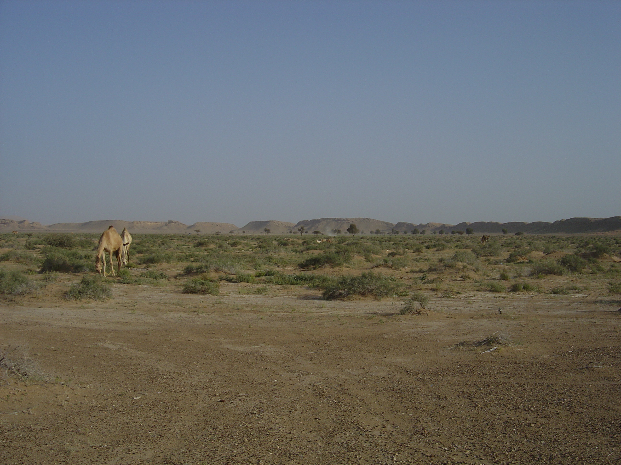 รูปถ่าย โอมาน(Oman) จากบูไมิไปถนนมาฮาดา(Buraimi to Mahada road) 2005-03 44