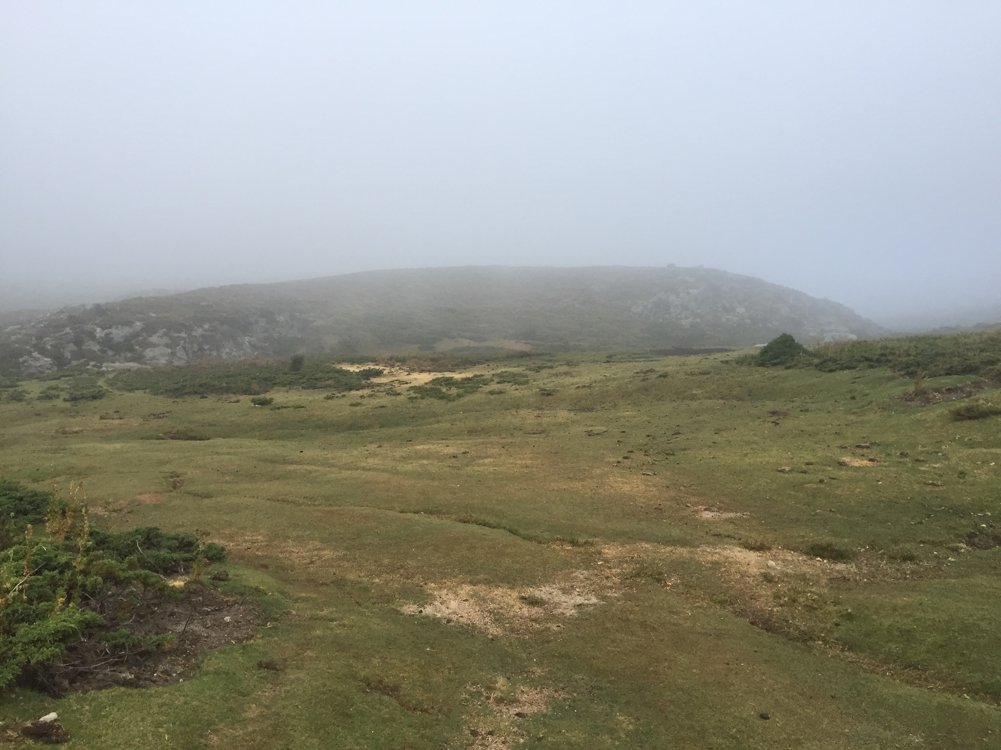 รูปถ่าย ฝรั่งเศส(France) คอร์สิคา(Corsica) อัลตาร็อกกา(Alta Rocca) 2017-09 11