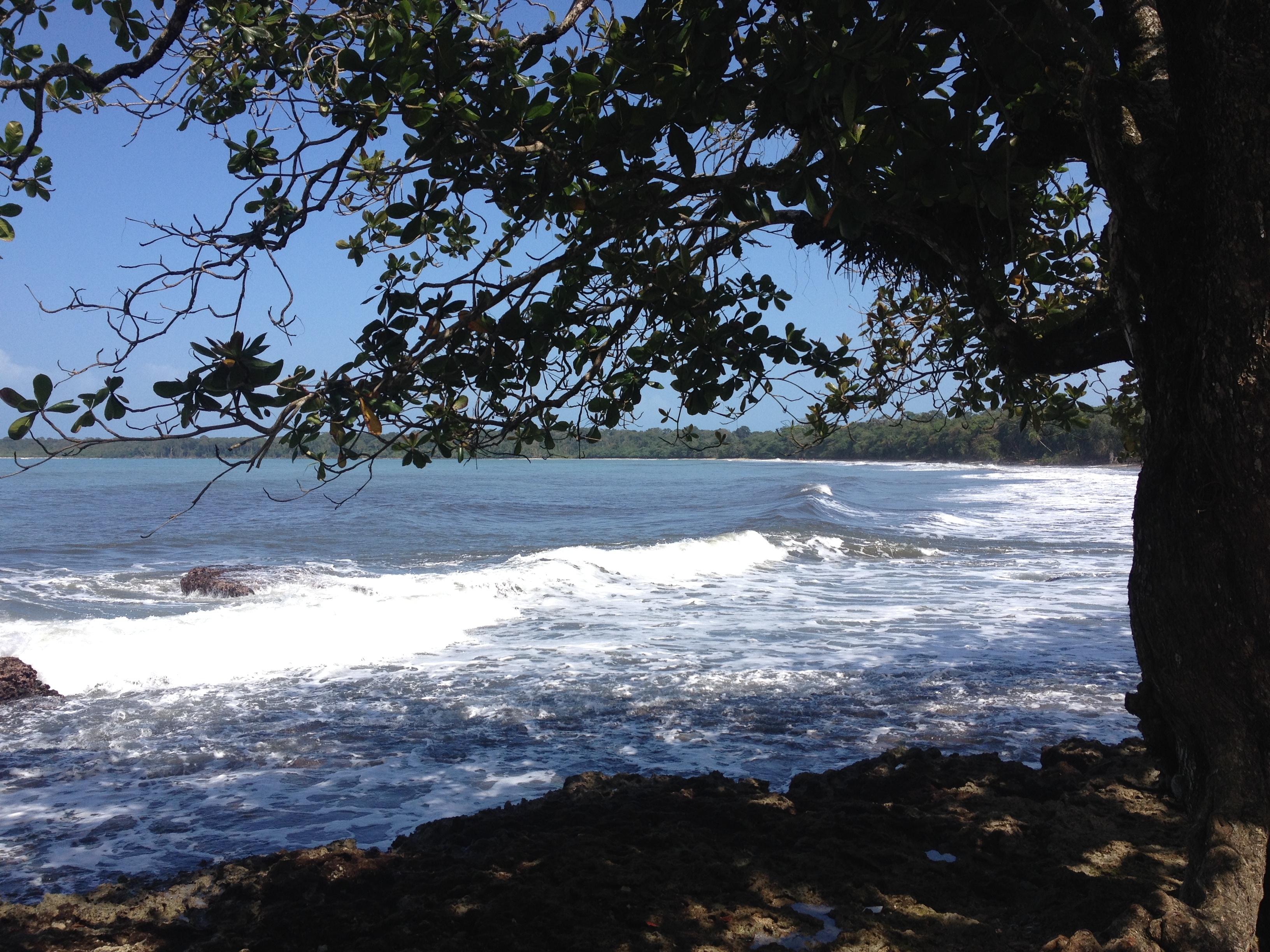 รูปถ่าย คอสตาริกา(Costa Rica) กาอุยตา(Cahuita) 2015-03 246