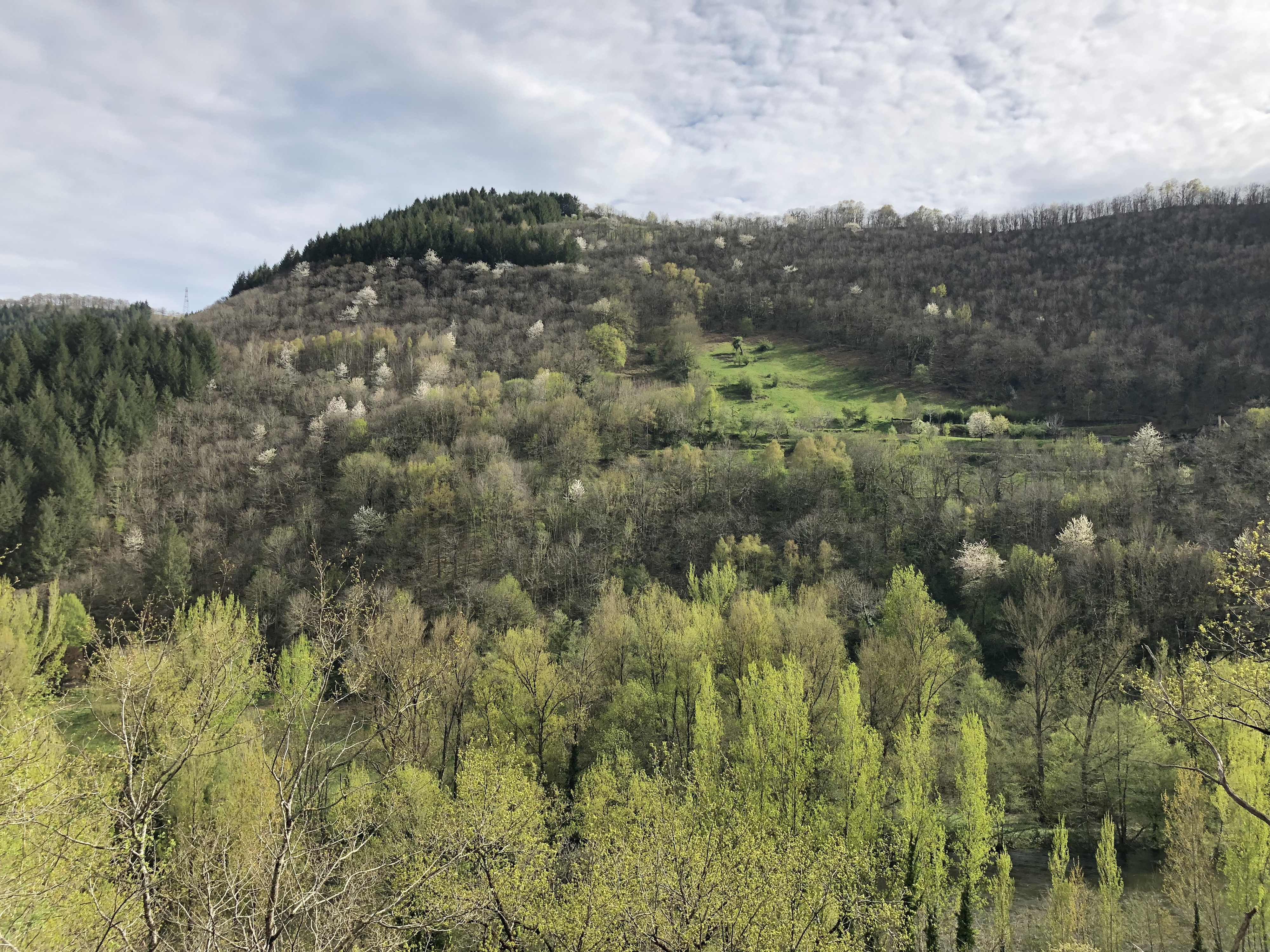 รูปถ่าย ฝรั่งเศส(France) กงก์(Conques) 2018-04 167