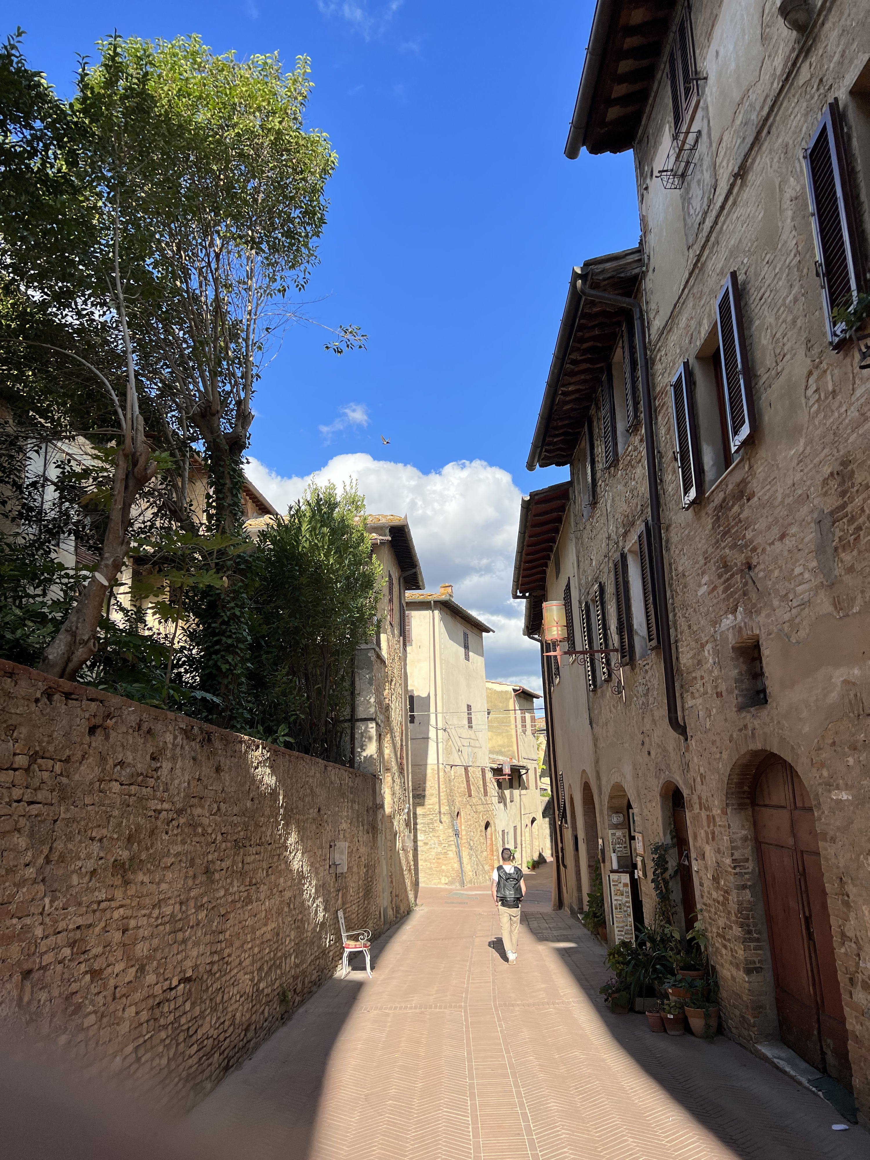 รูปถ่าย อิตาลี(Italy) ซานจีมิญญาโน(San Gimignano) 2021-09 124