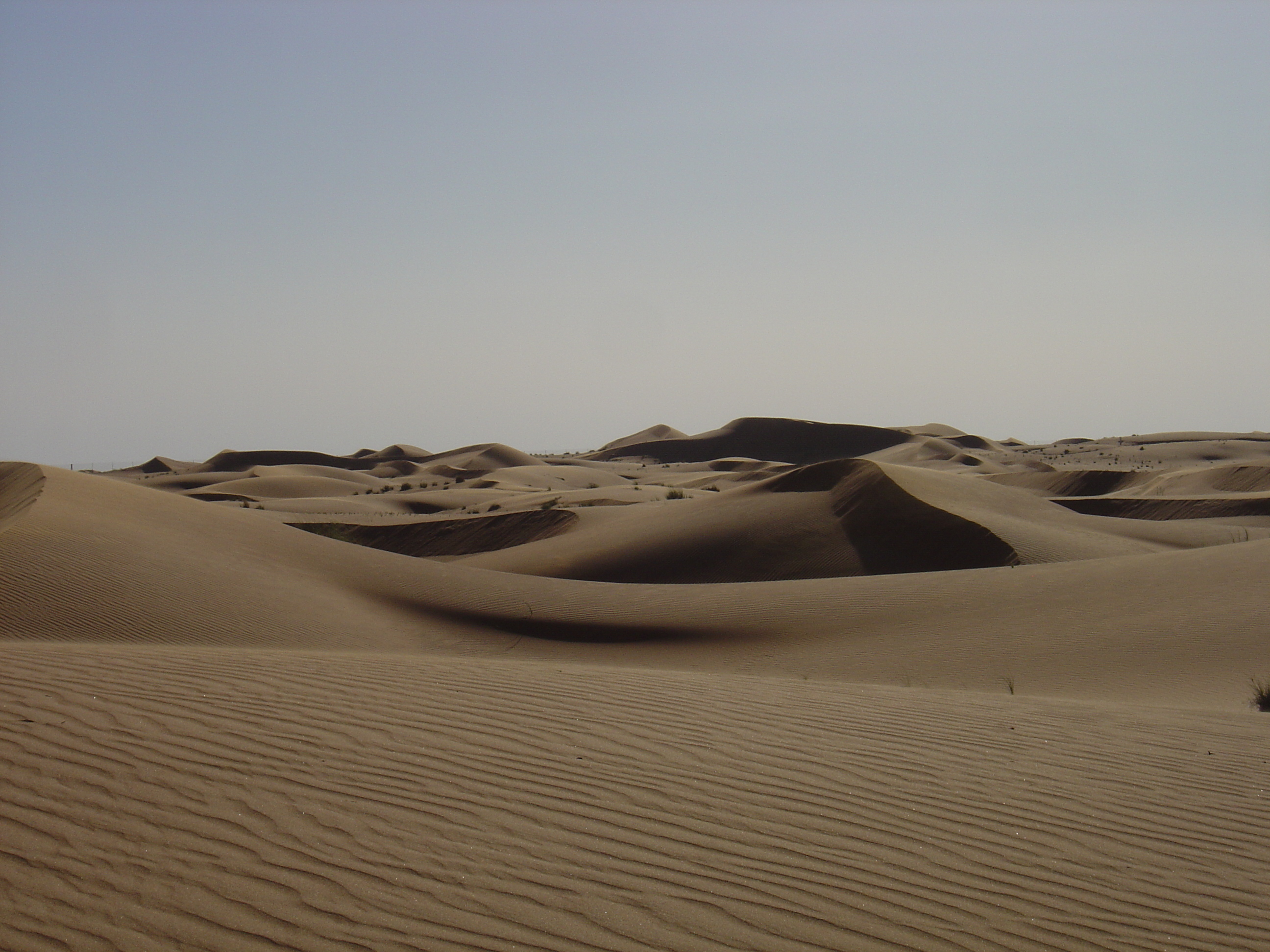 รูปถ่าย สหรัฐอาหรับเอมิเรตส์(United Arab Emirates) จากดูไบไปถนนอัลอิน(Dubai to Al Ain road) 2005-03 36