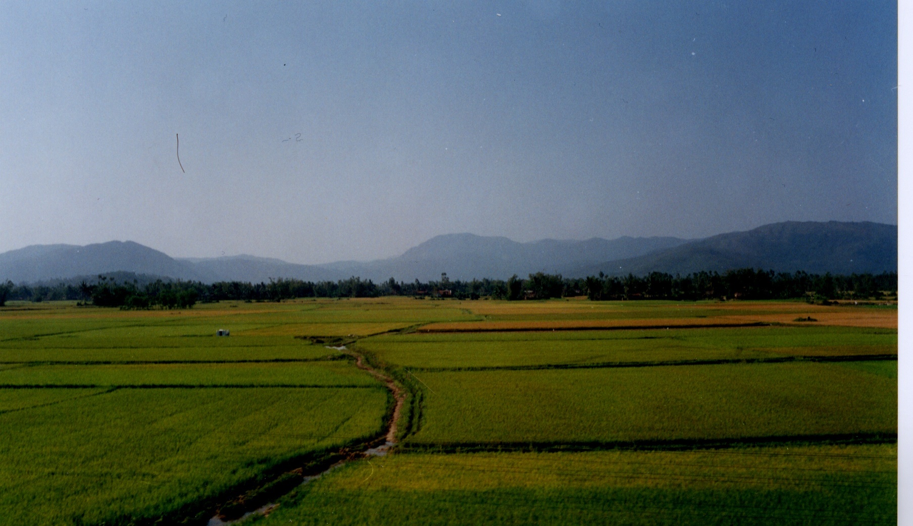 รูปถ่าย เวียดนาม(Vietnam) 1996-03 77