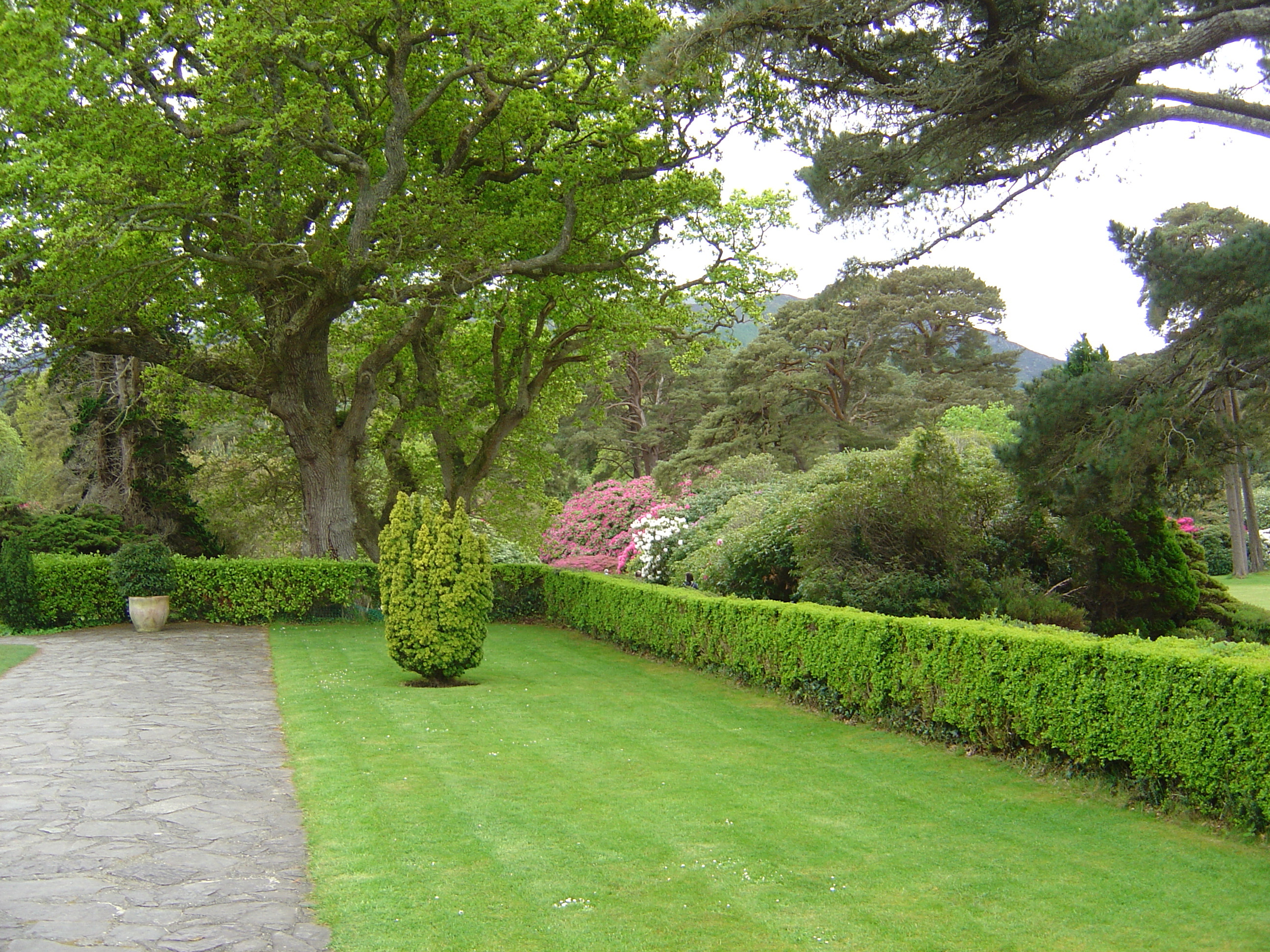 รูปถ่าย ไอร์แลนด์(Ireland) เคอร์รี่(Kerry) สวนสาธารณะคิลลาร์นีย์เนชั่นเนล(Killarney National Park) บ้านมัครอส(Muckross House) 2004-05 15
