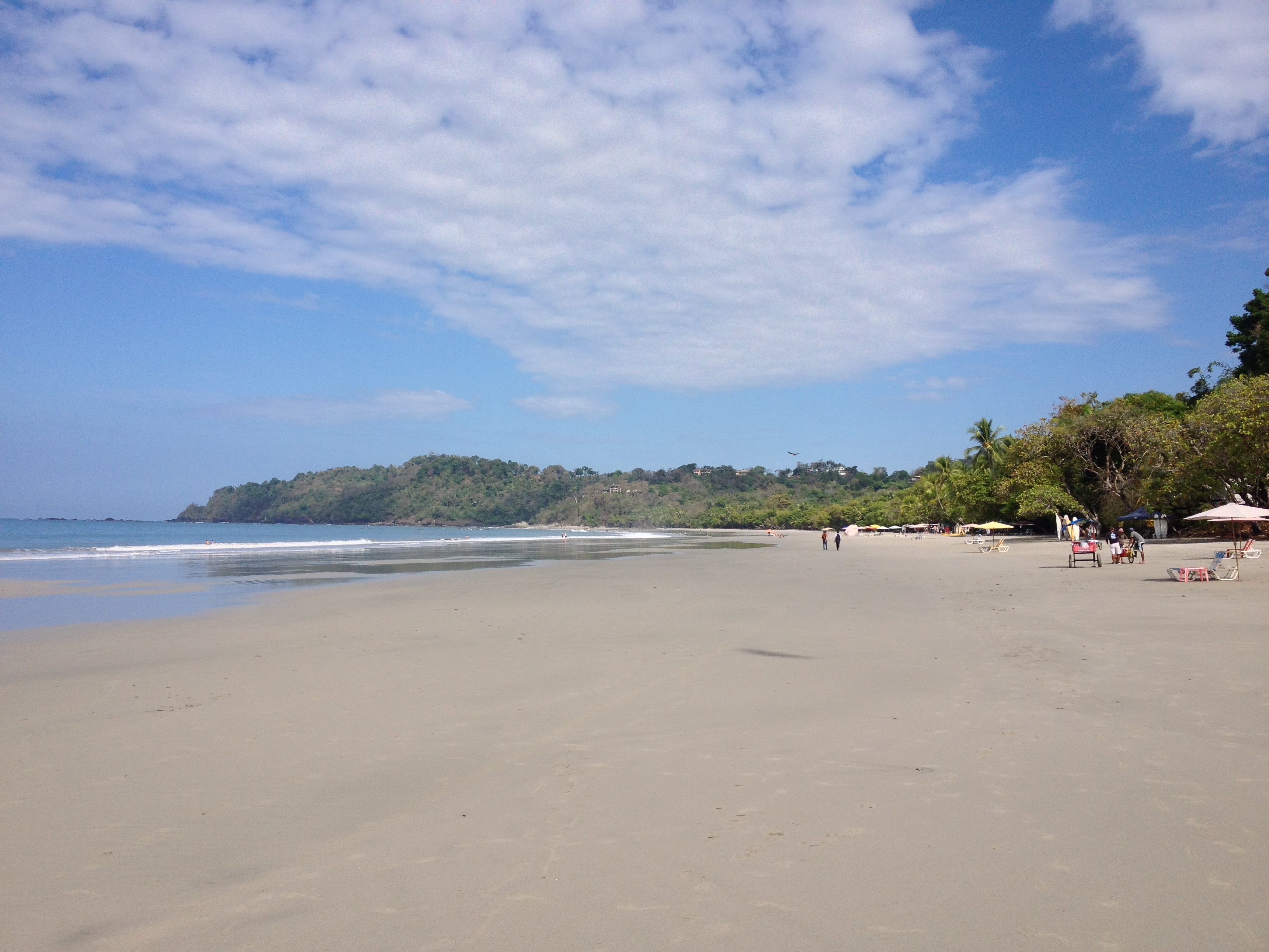รูปถ่าย คอสตาริกา(Costa Rica) มานวยล์อันโตนีโอ(Manuel Antonio) 2015-03 464