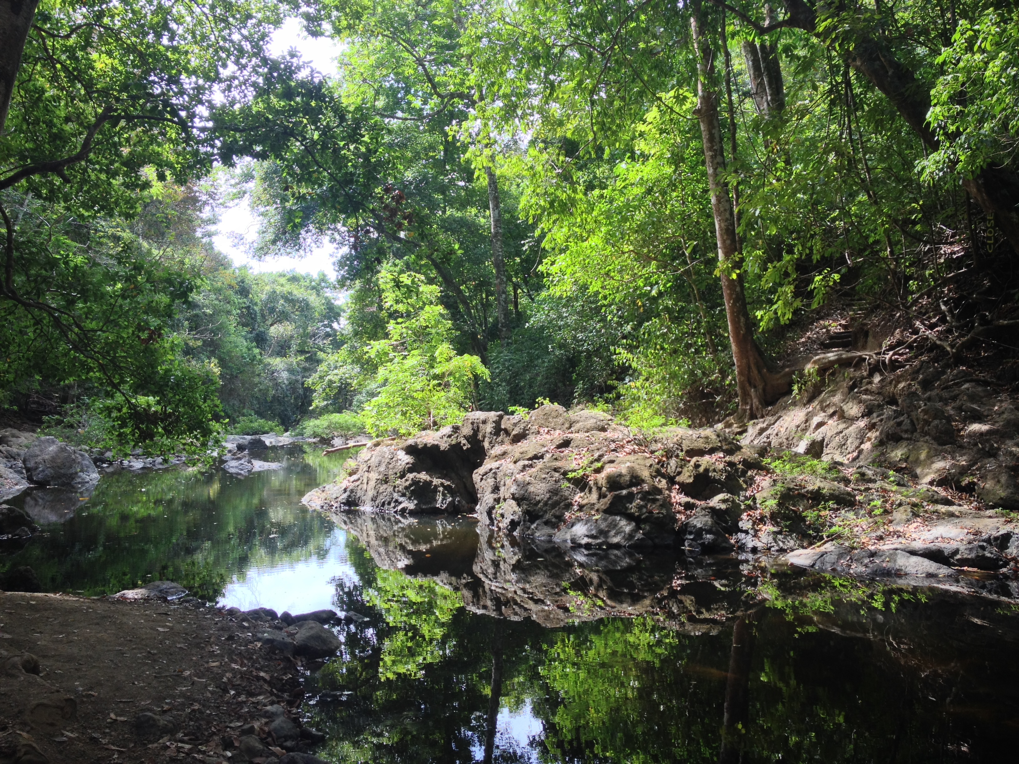 รูปถ่าย คอสตาริกา(Costa Rica) 2015-03 52