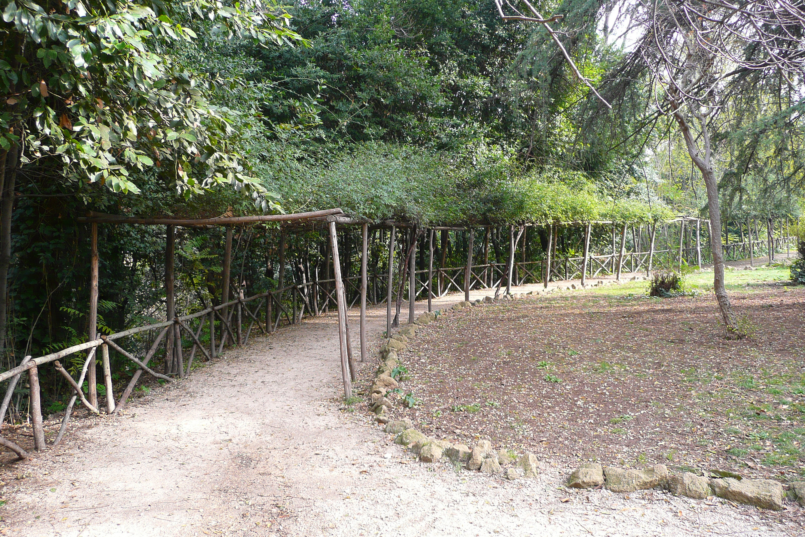 รูปถ่าย อิตาลี(Italy) โรม(Rome) วิลลาชาร์รา(Villa Sciarra) 2007-11 6