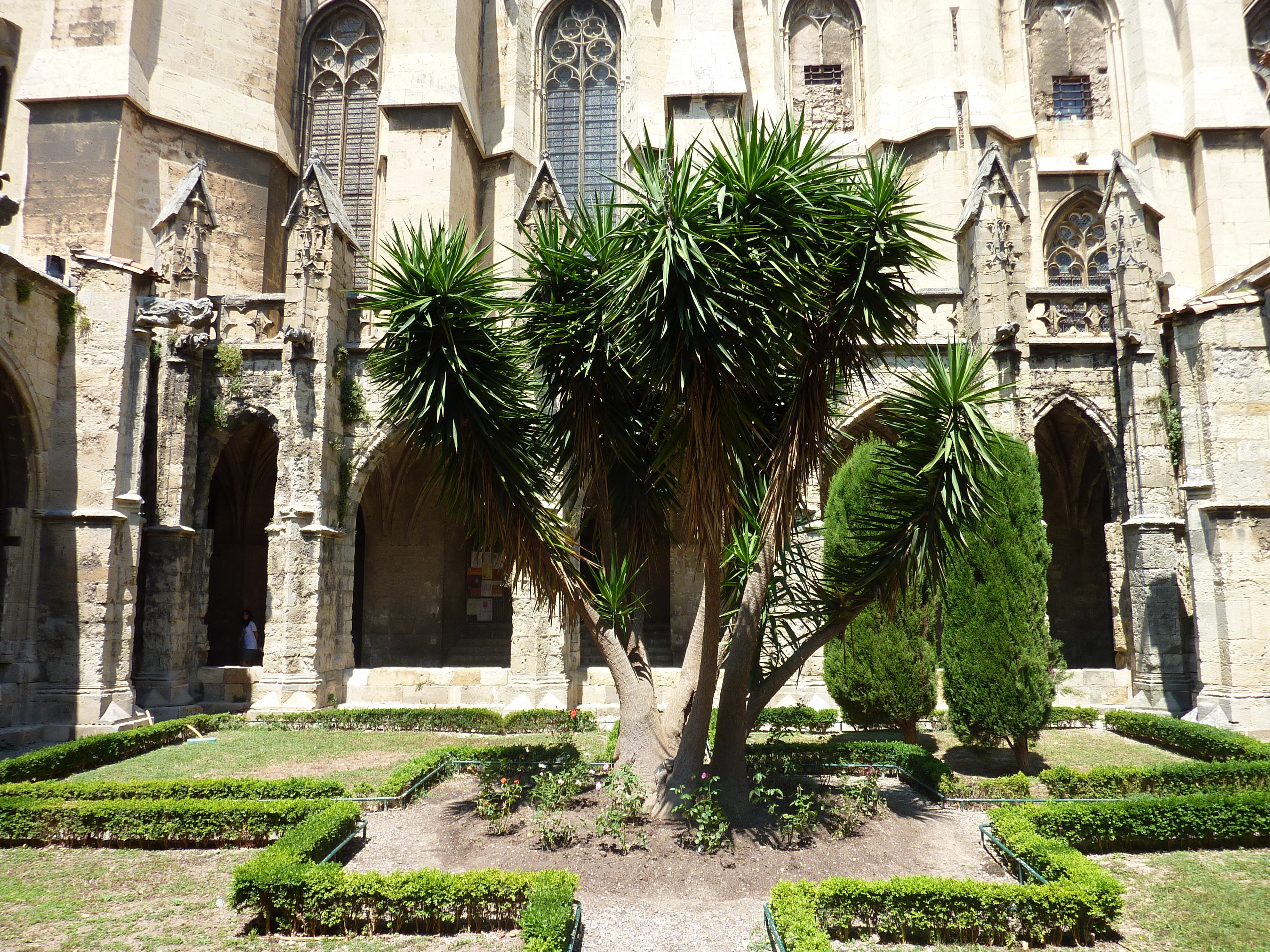 รูปถ่าย ฝรั่งเศส(France) นาร์บอน(Narbonne) 2009-07 121