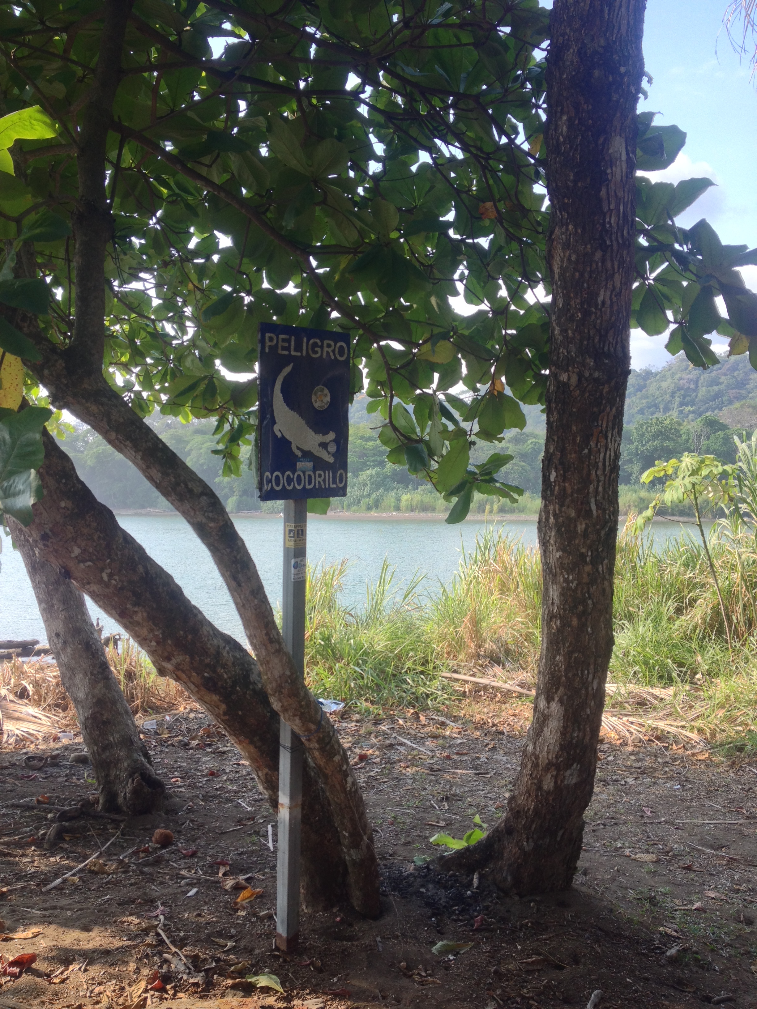 รูปถ่าย คอสตาริกา(Costa Rica) โดมินิกัล(Dominical) 2015-03 58