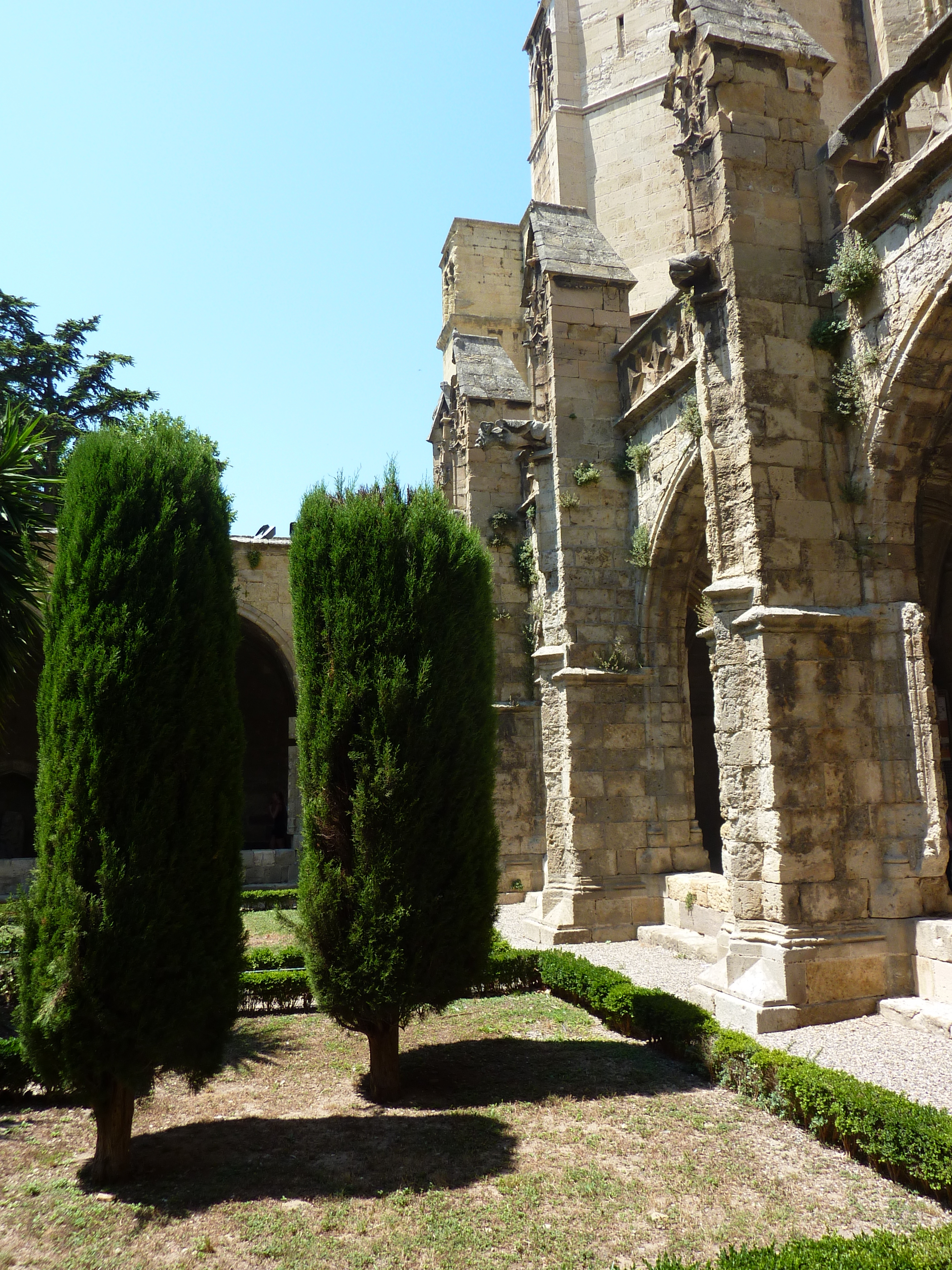 รูปถ่าย ฝรั่งเศส(France) นาร์บอน(Narbonne) 2009-07 138
