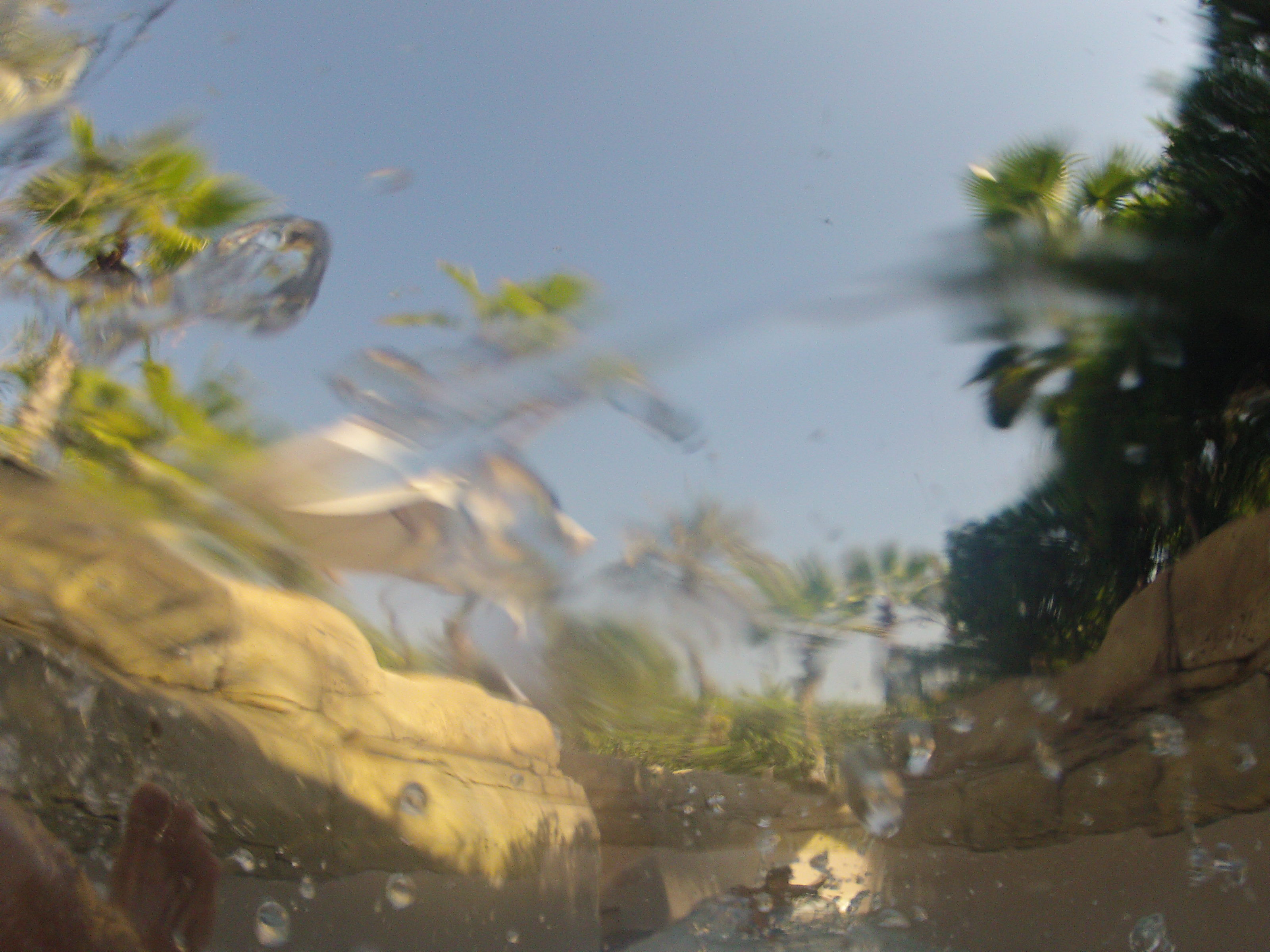 รูปถ่าย สหรัฐอาหรับเอมิเรตส์(United Arab Emirates) ดูไบ(Dubai) สวนน้ำอควาเวนเจอร์ ดูไบ(Dubai Aquaventure) 2012-01 16