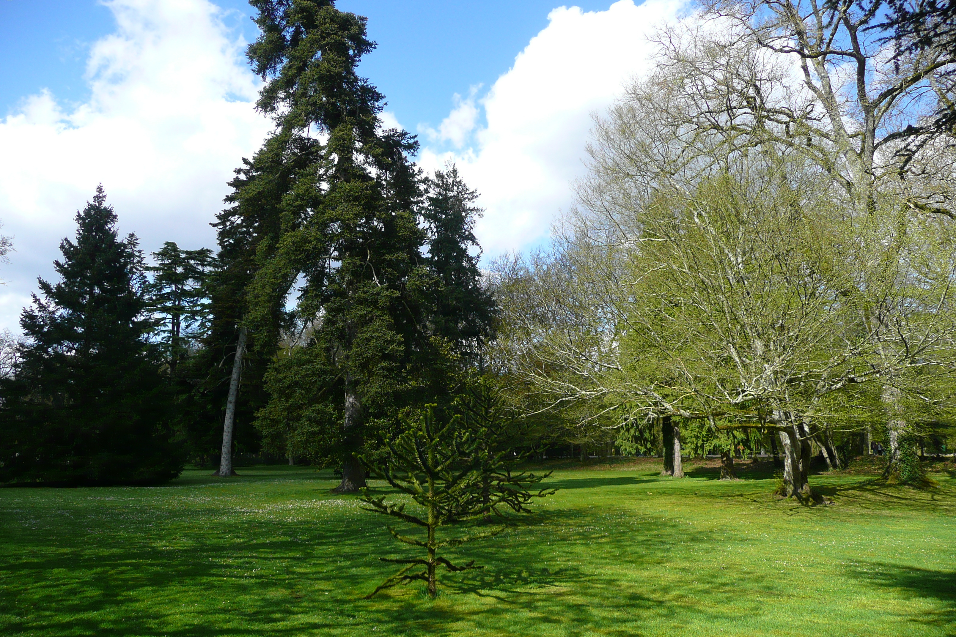 รูปถ่าย ฝรั่งเศส(France) ปราสาทเชอนงโซ(Chenonceau Castle) สวนปราสาทเชอนงโซ(Gardens of Chenonceau) 2008-04 0