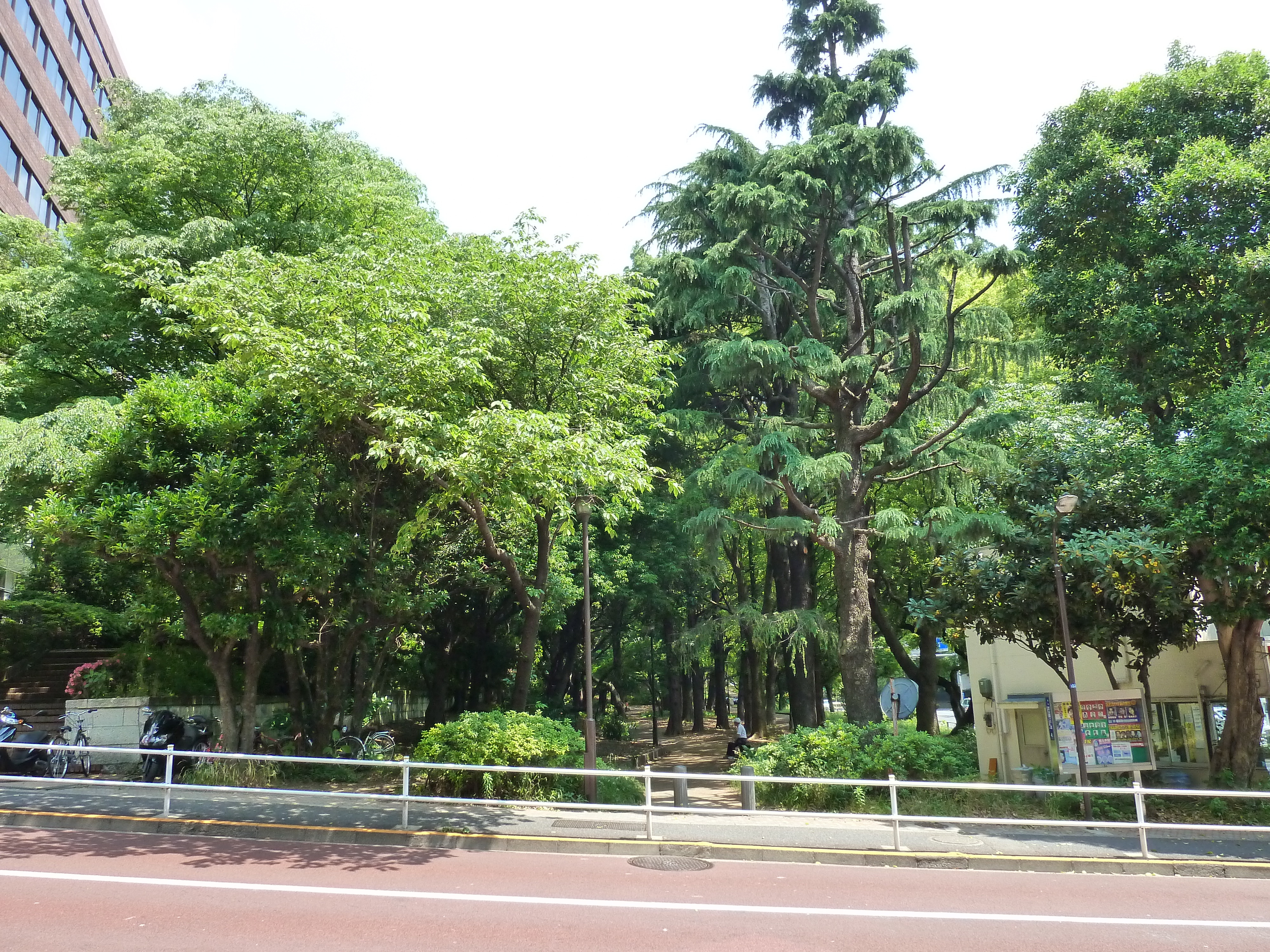 รูปถ่าย ญี่ปุ่น(Japan) โตเกียว(Tokyo) สวนชิบะ(Shiba Park) 2010-06 65