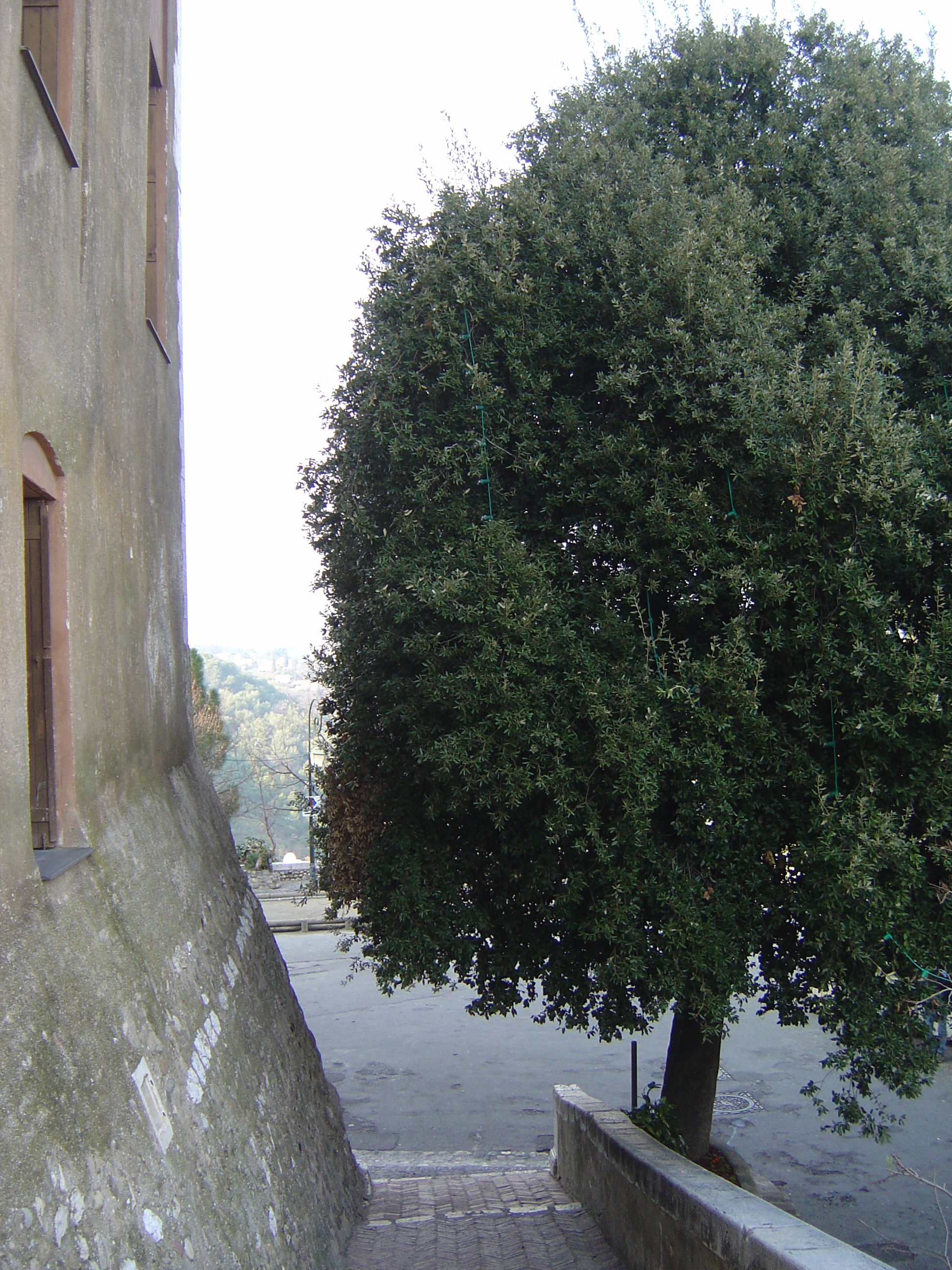 รูปถ่าย ฝรั่งเศส(France) โอต์-เดอ-คาญ(Les Hauts de Cagnes) 2006-01 61
