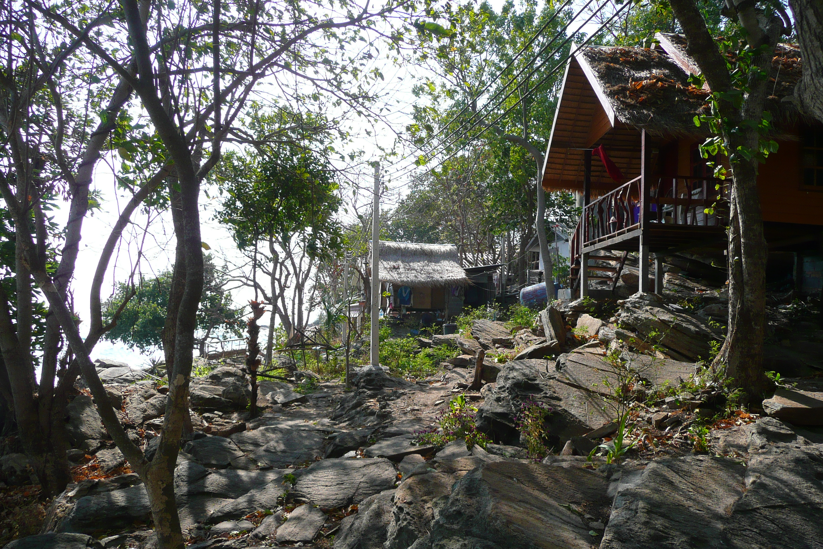 รูปถ่าย ไทย(Thailand) เกาะเสม็ด(Ko Samet) 2009-01 2