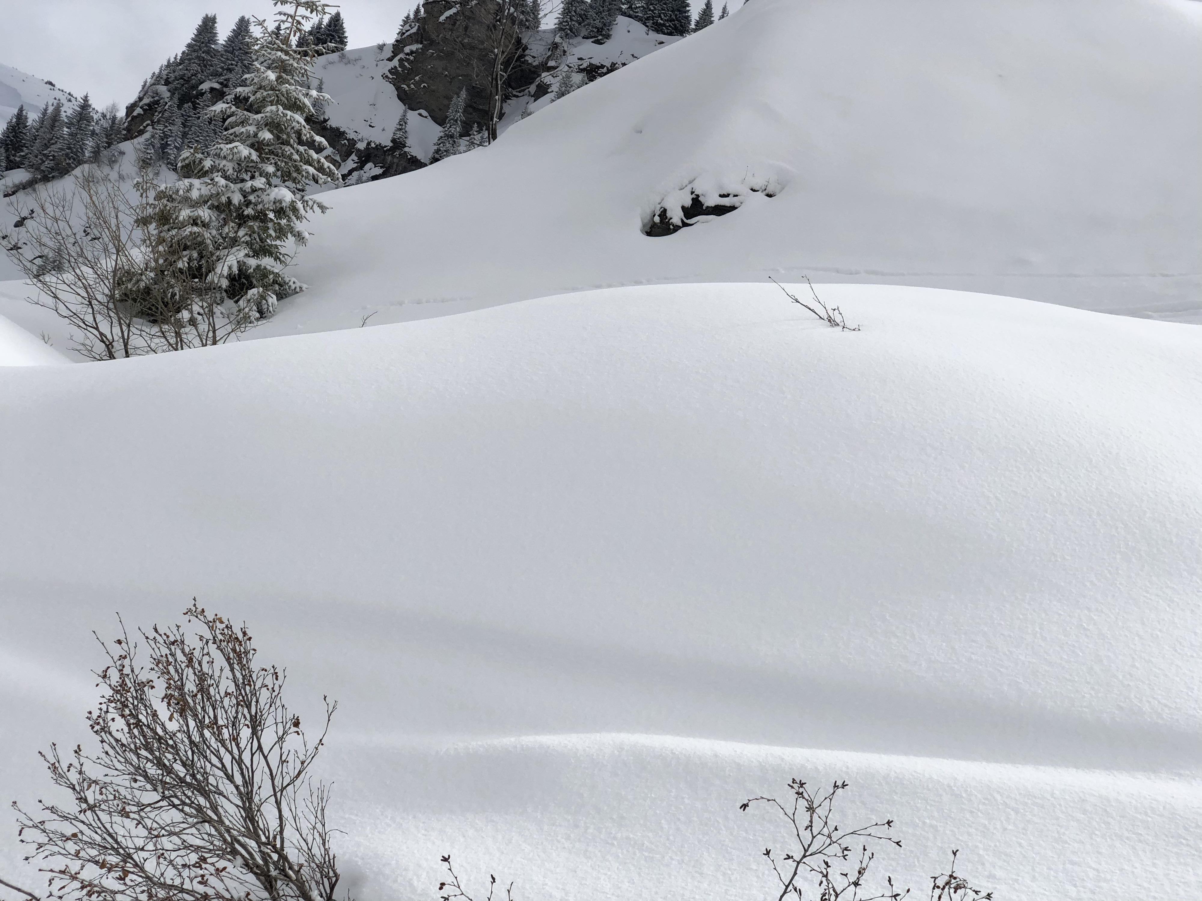 รูปถ่าย ฝรั่งเศส(France) เมแฌฟว์(Megeve) 2019-03 58