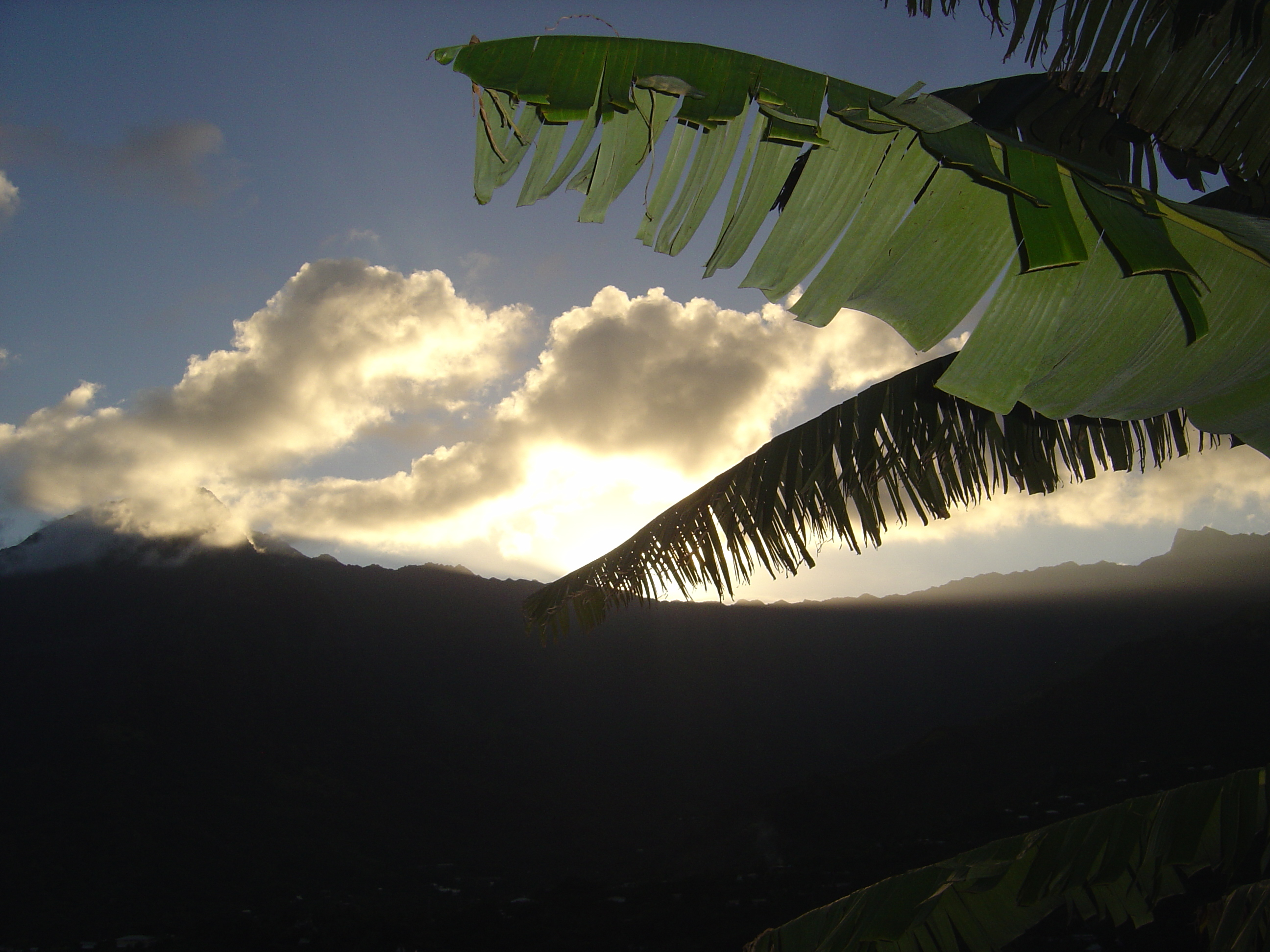 รูปถ่าย เฟรนช์โพลี่นีเซีย(Polynesia) หมู่เกาะมาร์เคซัส(Marquises) 2006-04 39